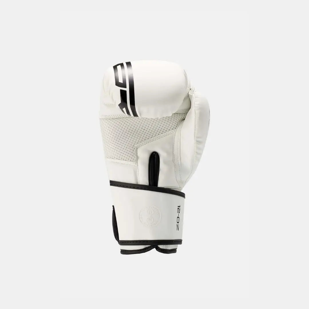STING Armaplus Training/Sparring Boxing Gloves The Champ Gear