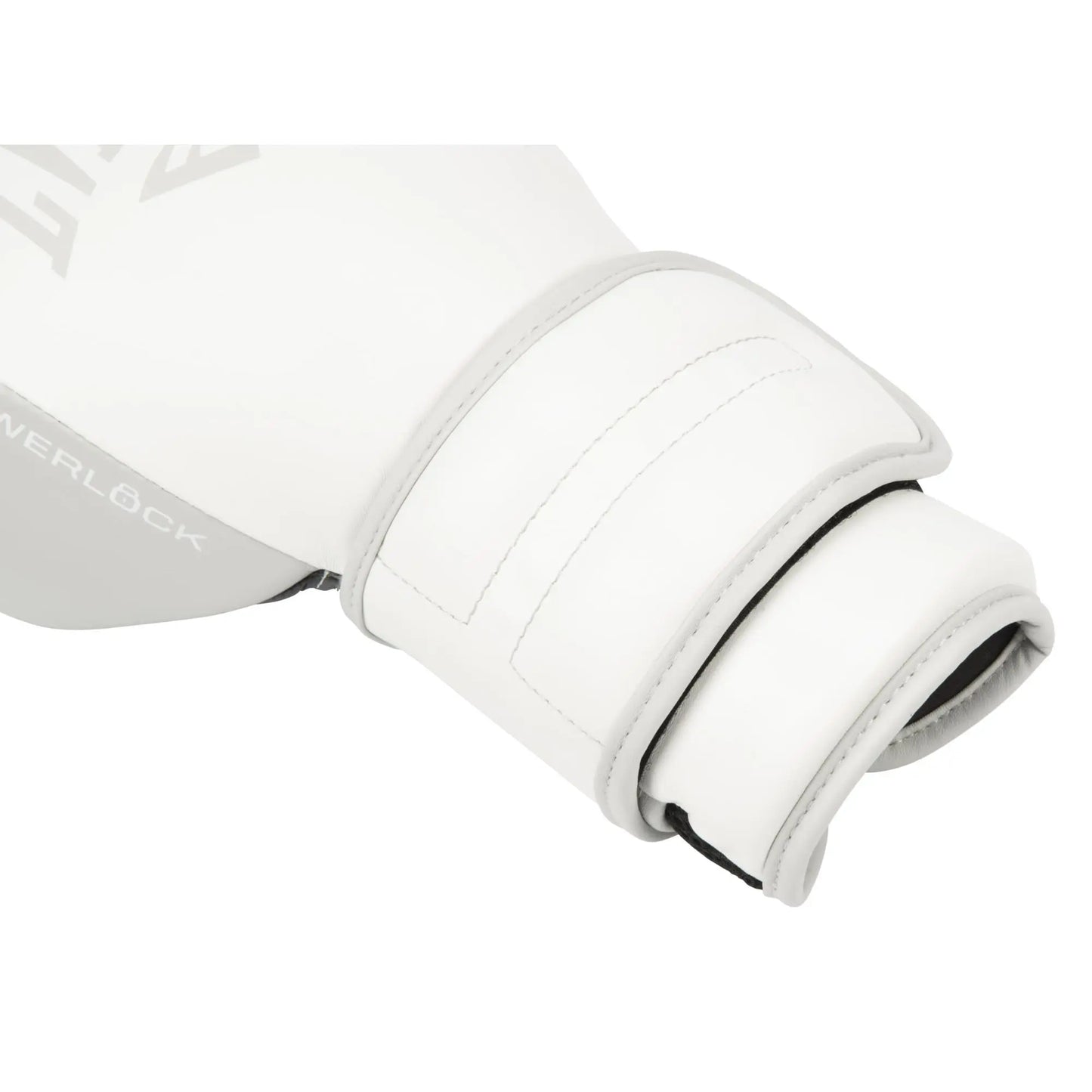 Everlast Powerlock 2R Training Glove The Champ Gear