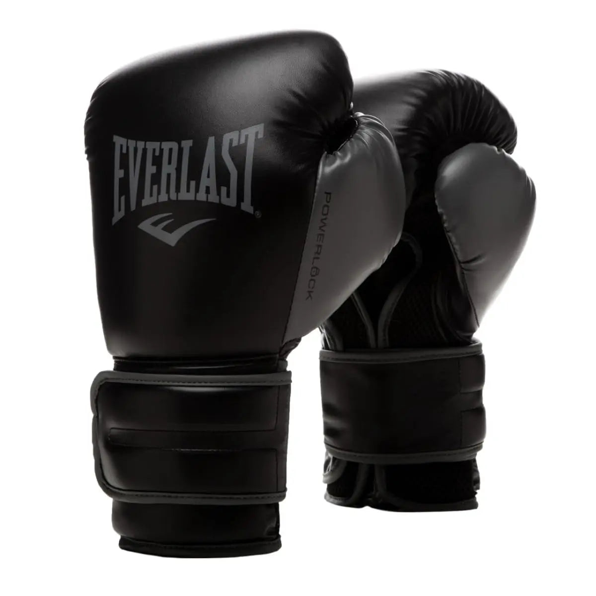 Everlast Powerlock 2R Training Glove The Champ Gear