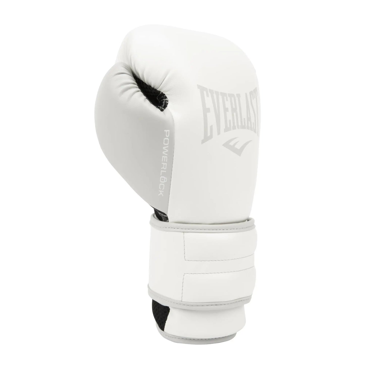 Everlast Powerlock 2R Training Glove The Champ Gear