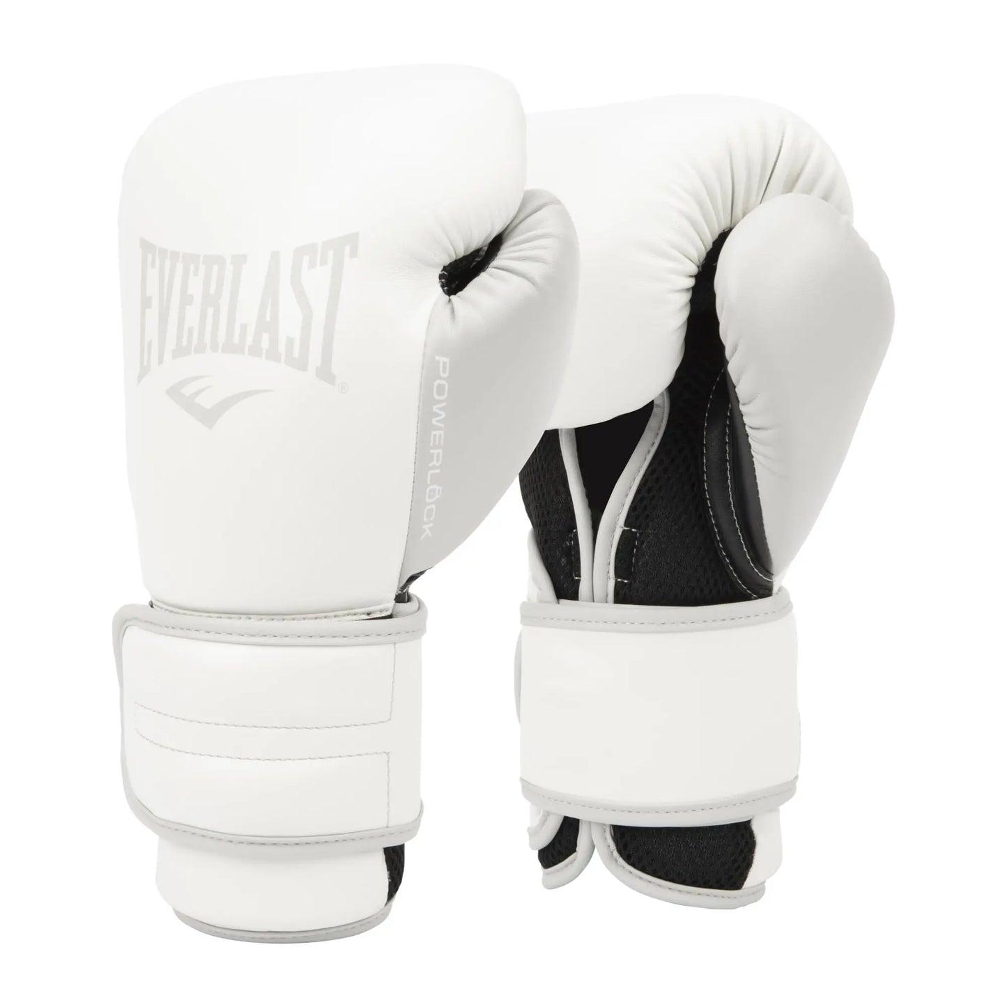 Everlast Powerlock 2R Training Glove The Champ Gear