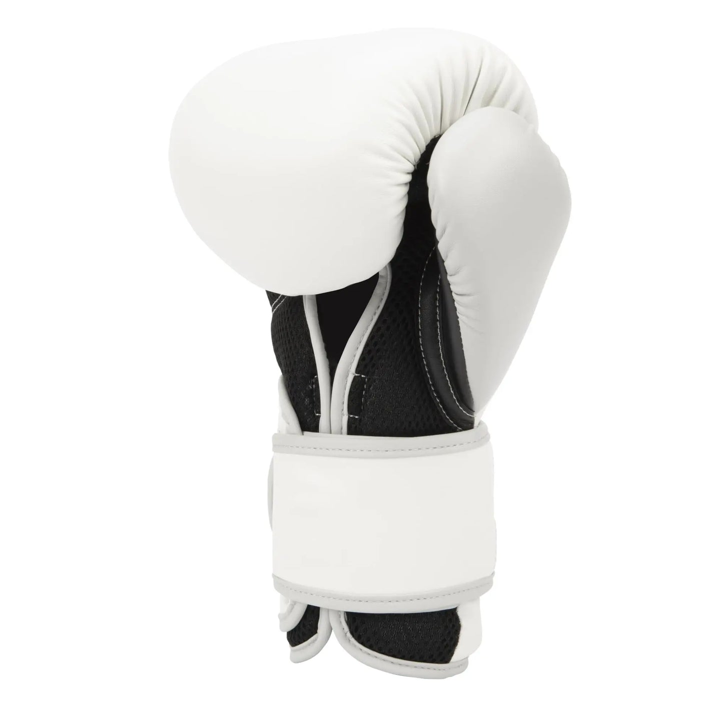 Everlast Powerlock 2R Training Glove The Champ Gear