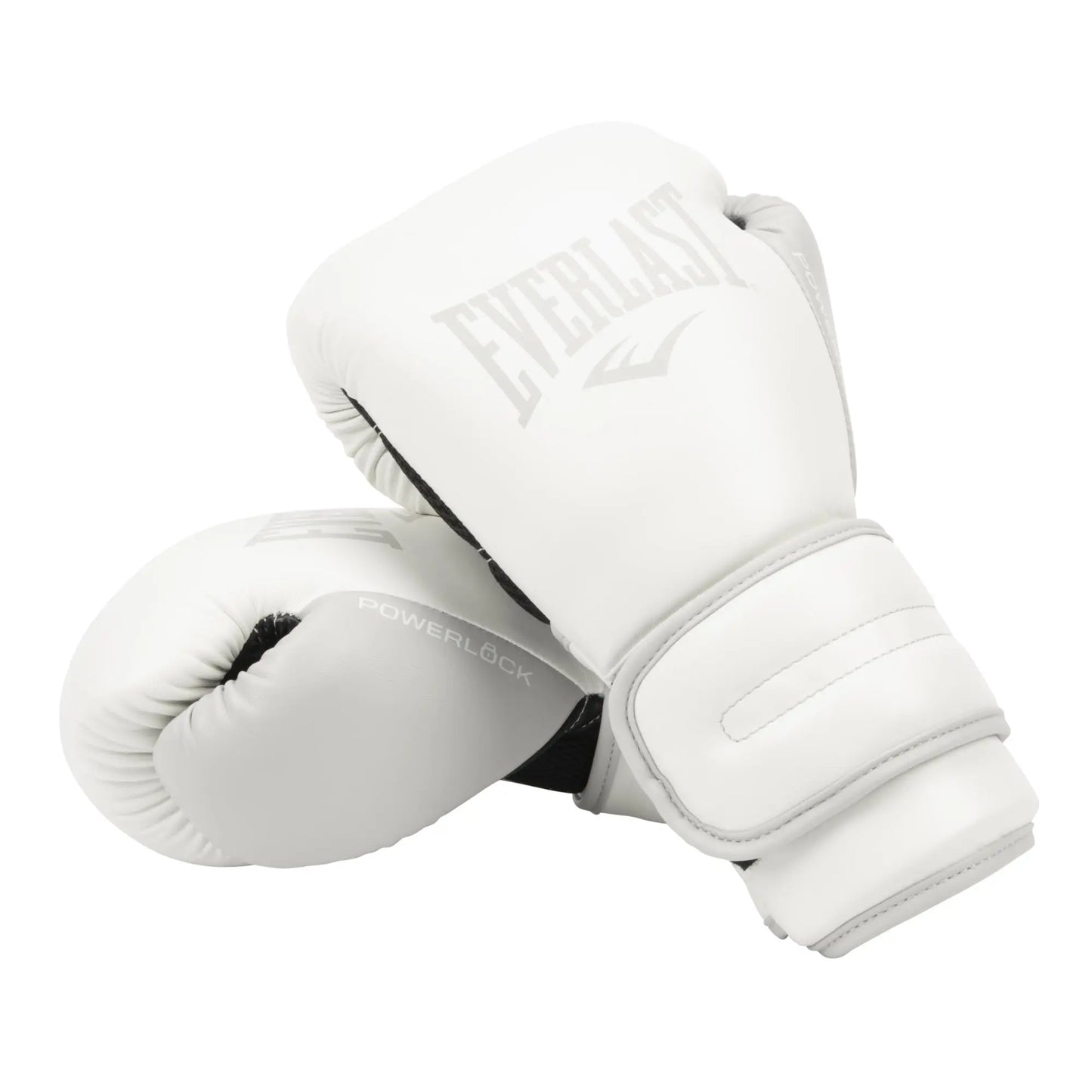 Everlast Powerlock 2R Training Glove The Champ Gear