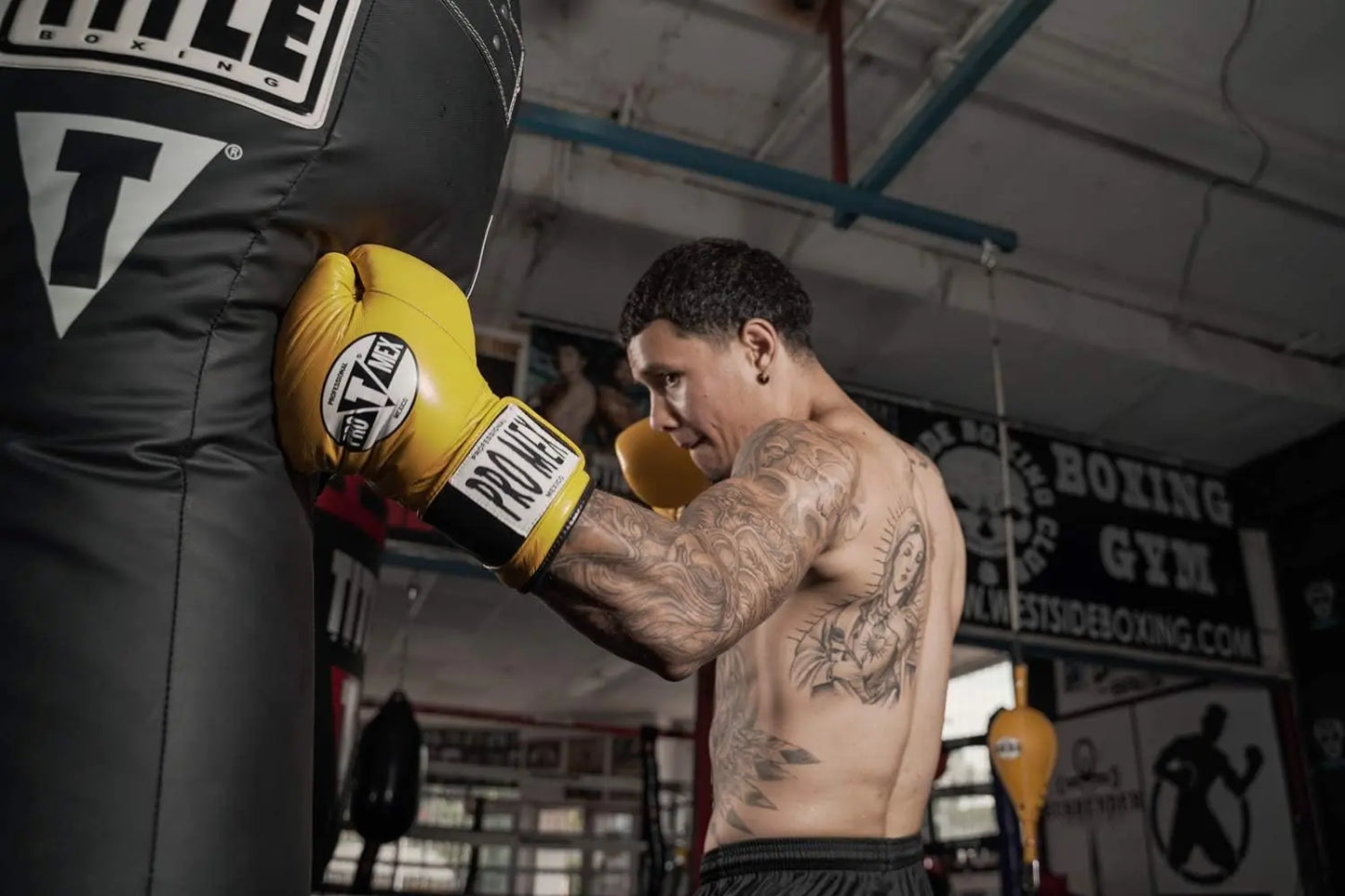 TITLE Boxing Big Bang Heavy Bag The Champ Gear