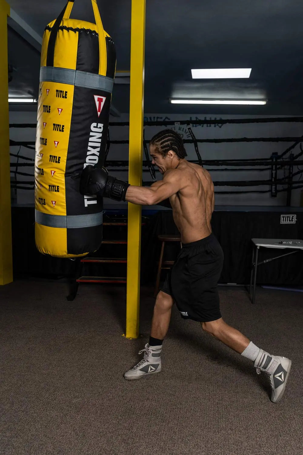 TITLE Boxing Greatest Heavy Bag Ever - Boxing Bag, Heavy Bag, Hanging Boxing Bag, Punching Bag, Kickboxing Bag, Boxing Punching Bag, Boxing Equipment The Champ Gear
