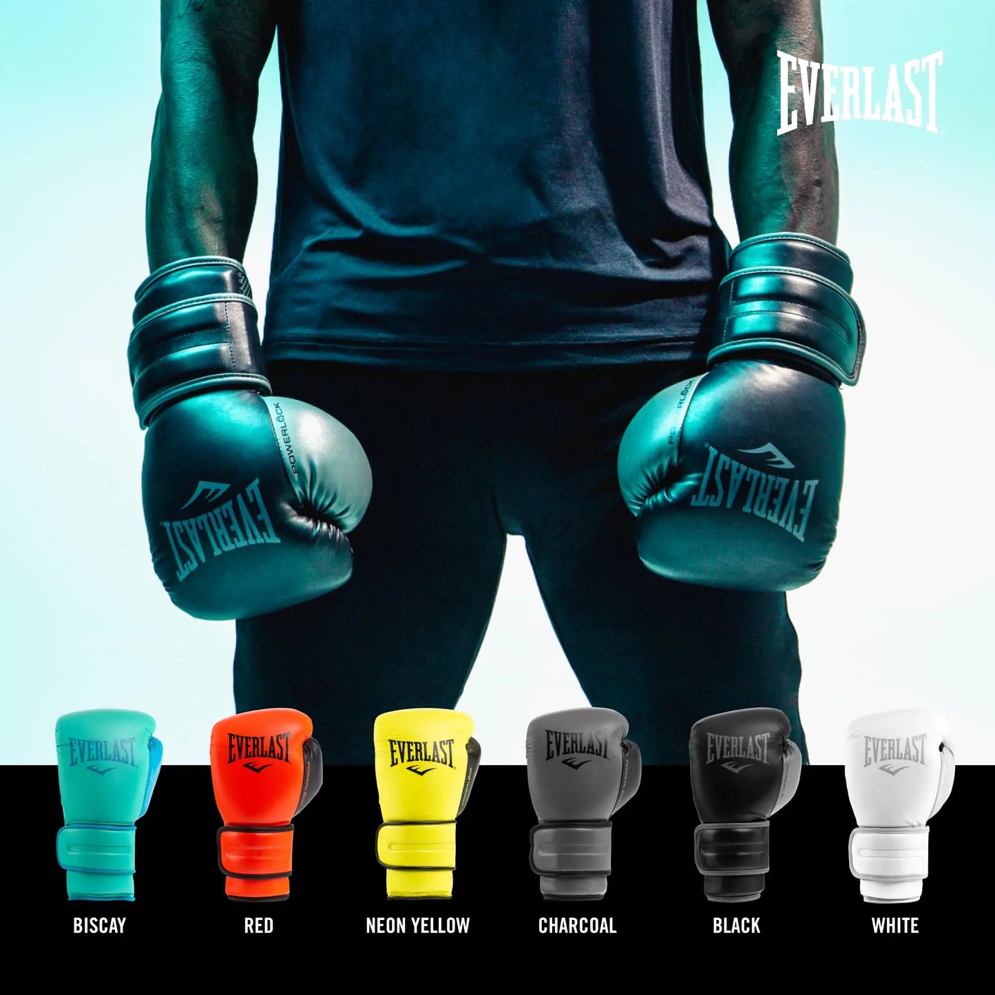 Everlast Powerlock 2R Training Glove The Champ Gear