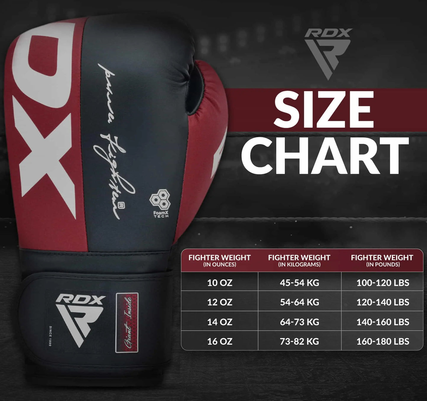 RDX Boxing Gloves The Champ Gear