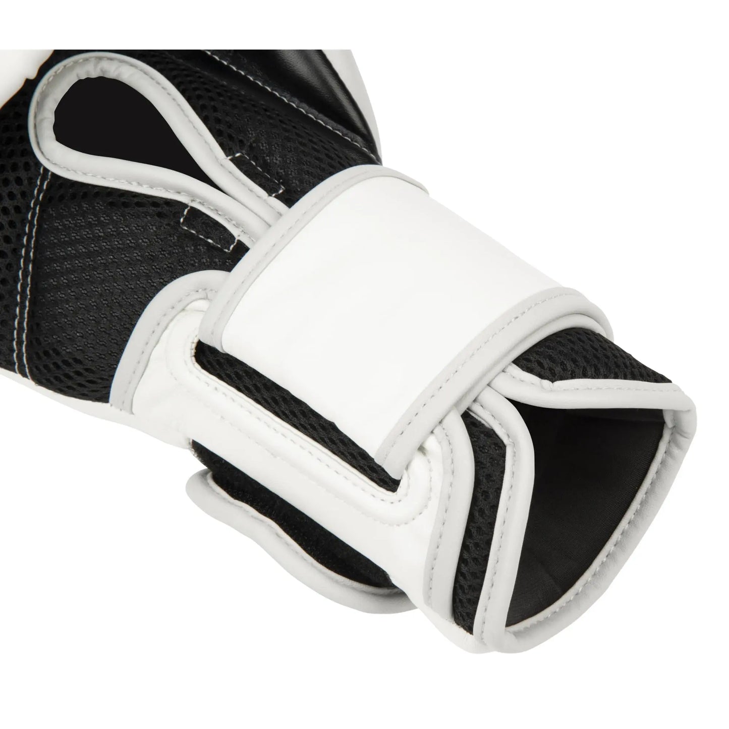 Everlast Powerlock 2R Training Glove The Champ Gear