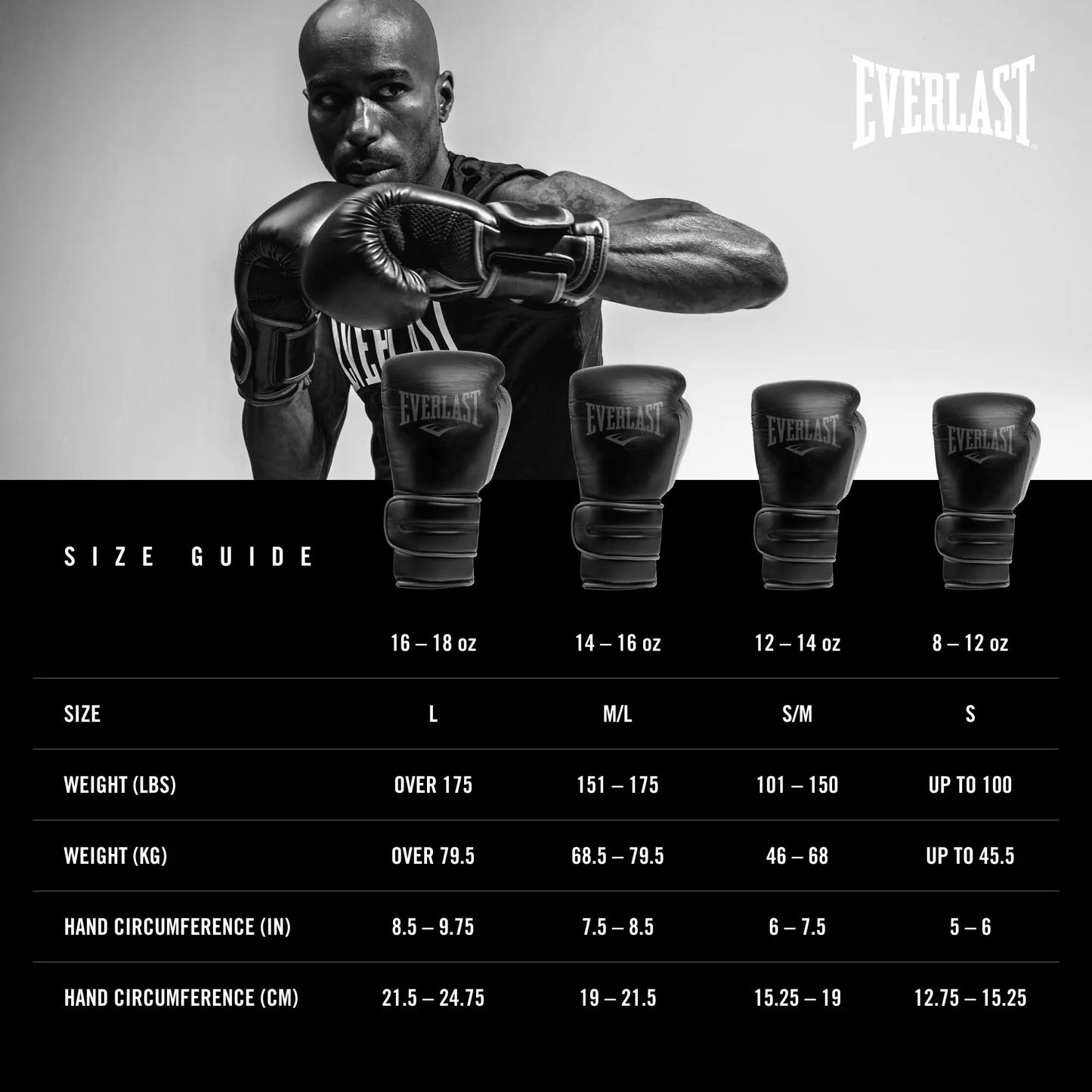 Everlast Powerlock 2R Training Glove The Champ Gear