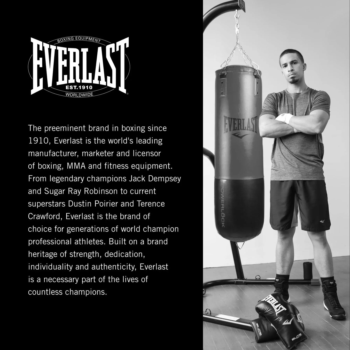 Everlast Powerlock Heavy Bag - Easy Heavy-Duty Chain Assembly, Shock Absorption, Sand-Filled Core - Ideal for Training, Boxing, Fight Sports, Fitness, Home Gym The Champ Gear