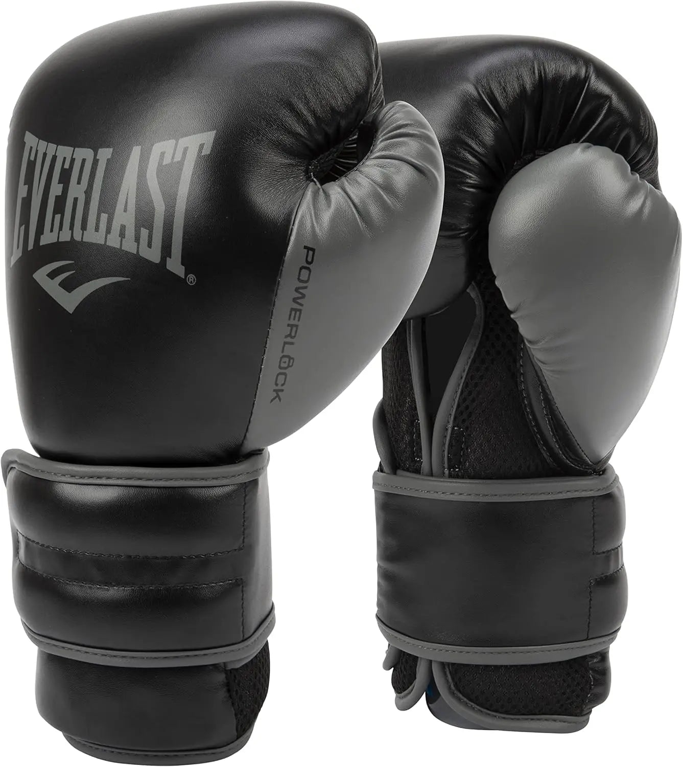Everlast Powerlock 2R Training Glove The Champ Gear