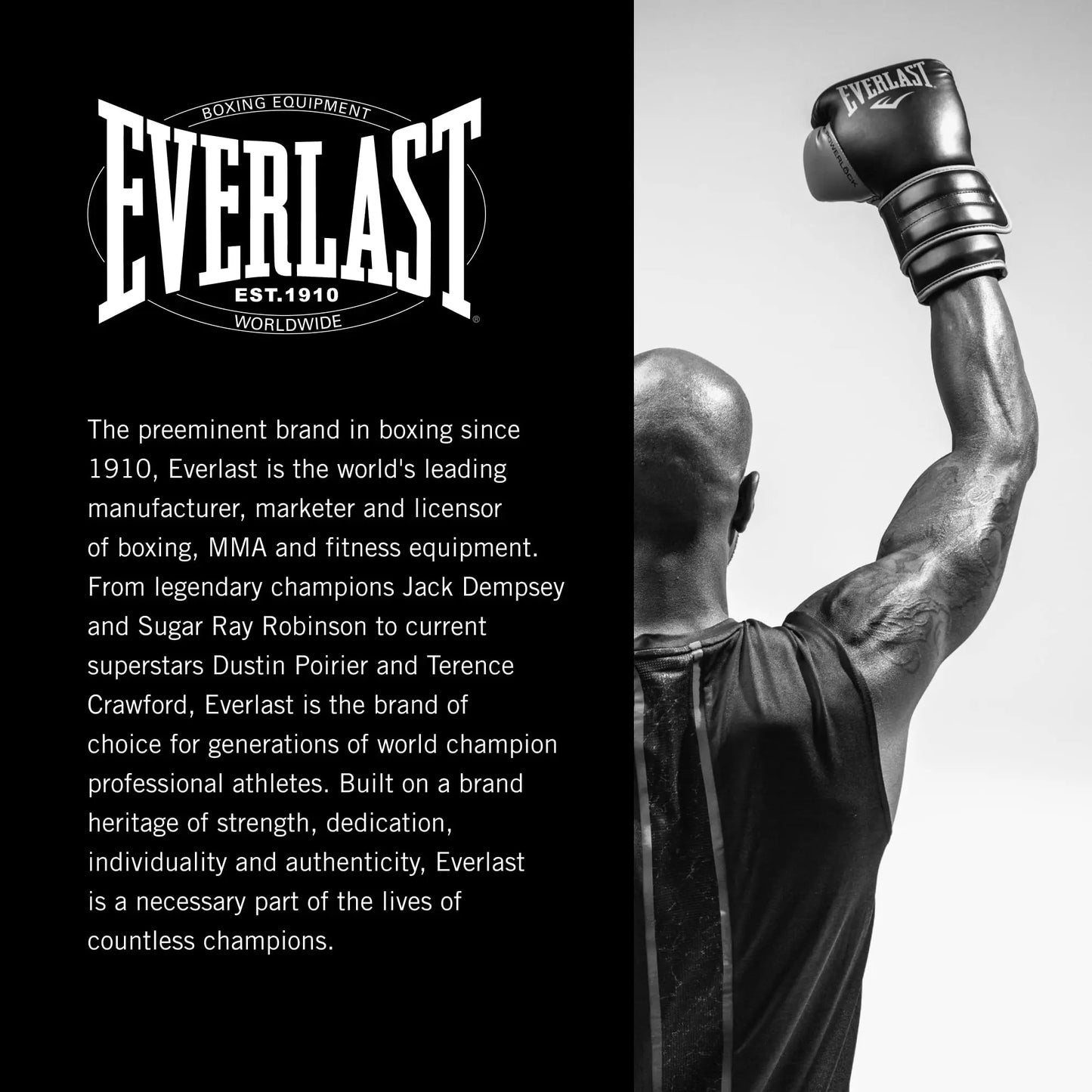 Everlast Spark Training Glove The Champ Gear