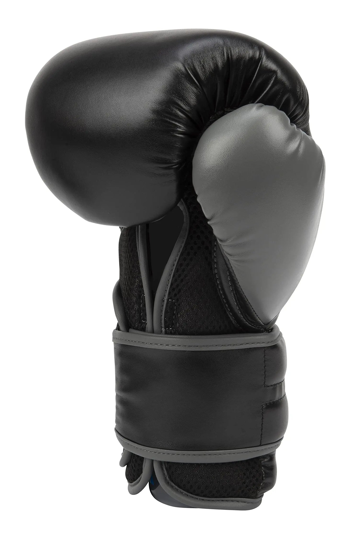 Everlast Powerlock 2R Training Glove The Champ Gear