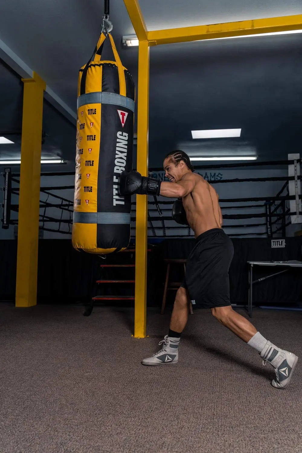 TITLE Boxing Greatest Heavy Bag Ever - Boxing Bag, Heavy Bag, Hanging Boxing Bag, Punching Bag, Kickboxing Bag, Boxing Punching Bag, Boxing Equipment The Champ Gear