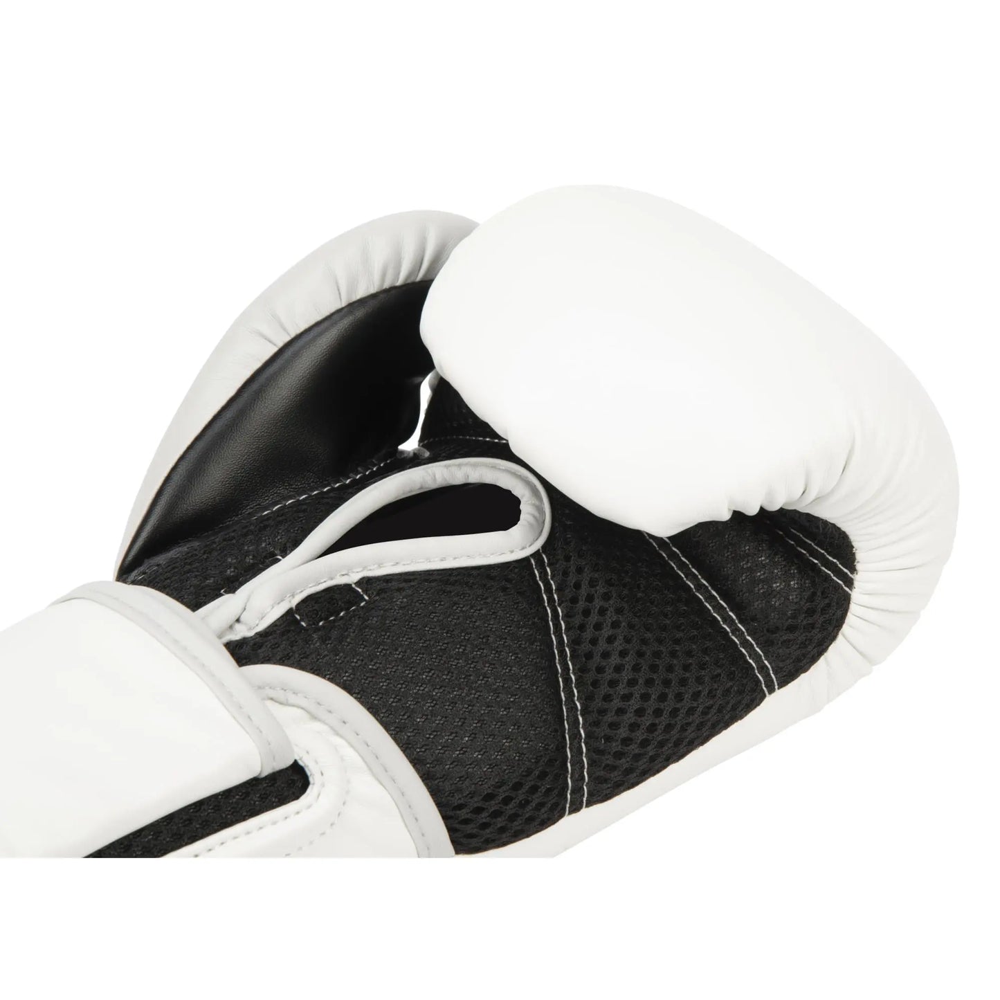 Everlast Powerlock 2R Training Glove The Champ Gear