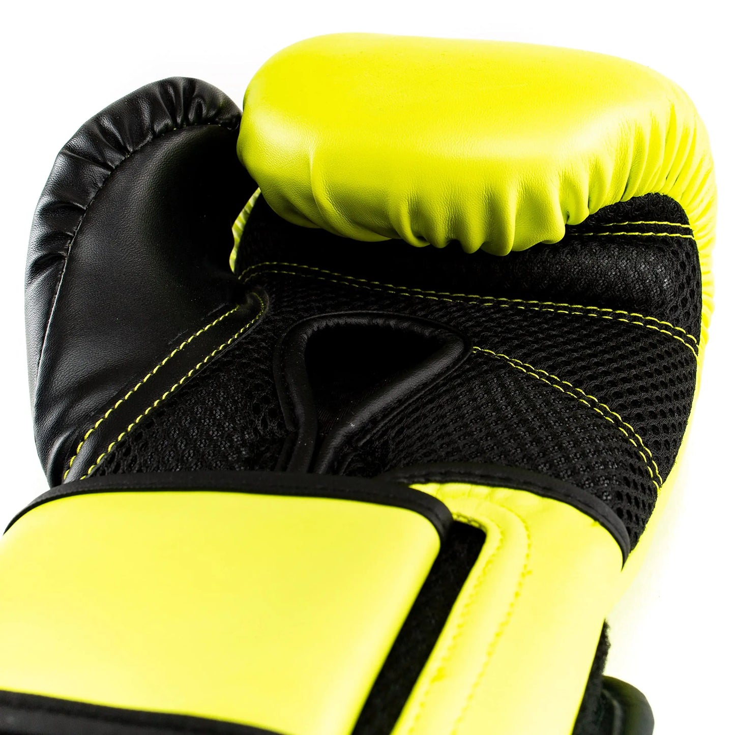 Everlast Powerlock 2R Training Glove The Champ Gear