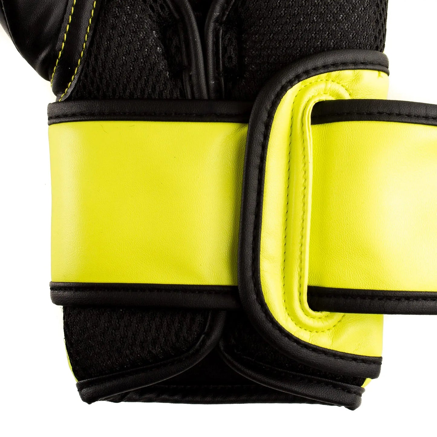Everlast Powerlock 2R Training Glove The Champ Gear