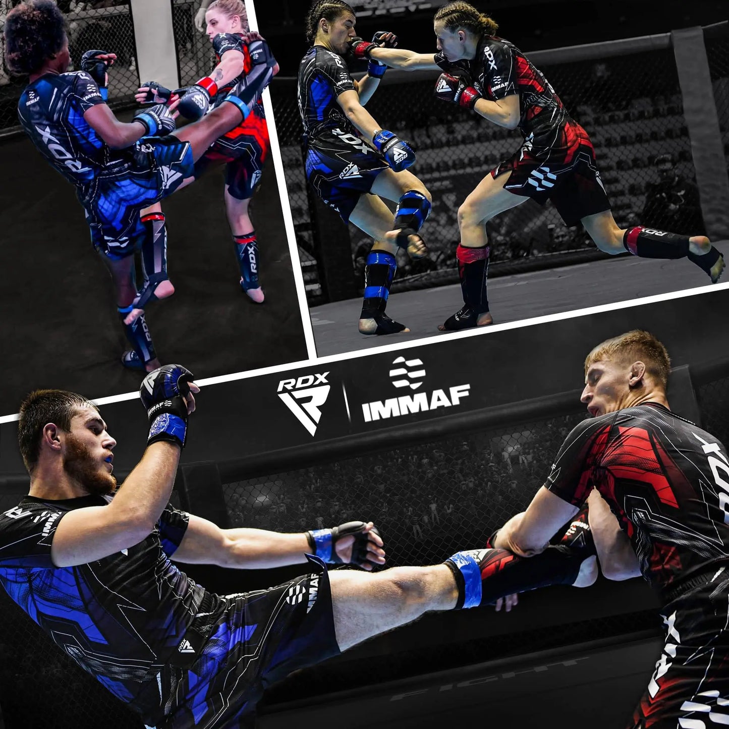 RDX IMMAF Approved Shin Guards, Competition Level Neoprene Shin Pads for Sparring and Grappling, MMA Muay Thai Kickboxing Training, Professional Shin Insteps Protection, Men Women The Champ Gear
