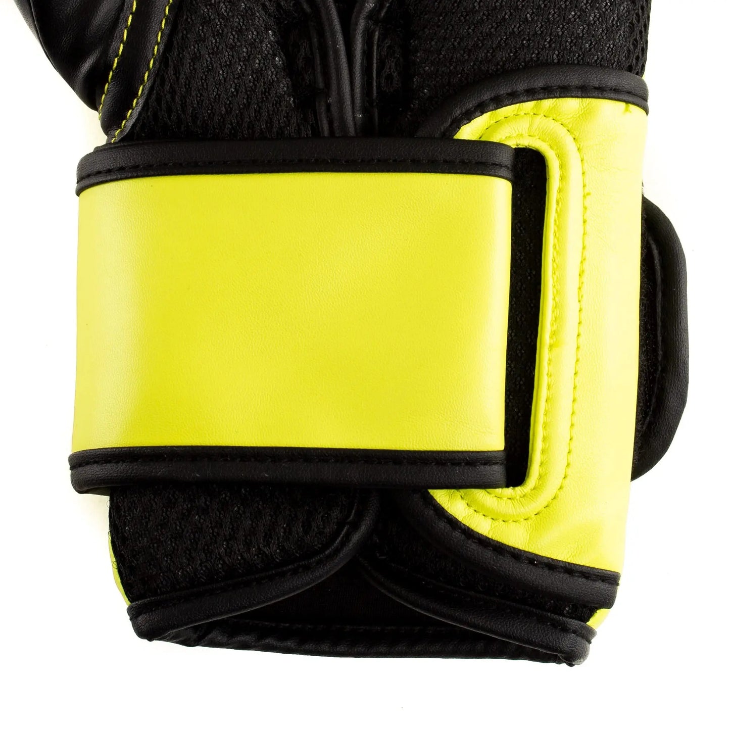 Everlast Powerlock 2R Training Glove The Champ Gear