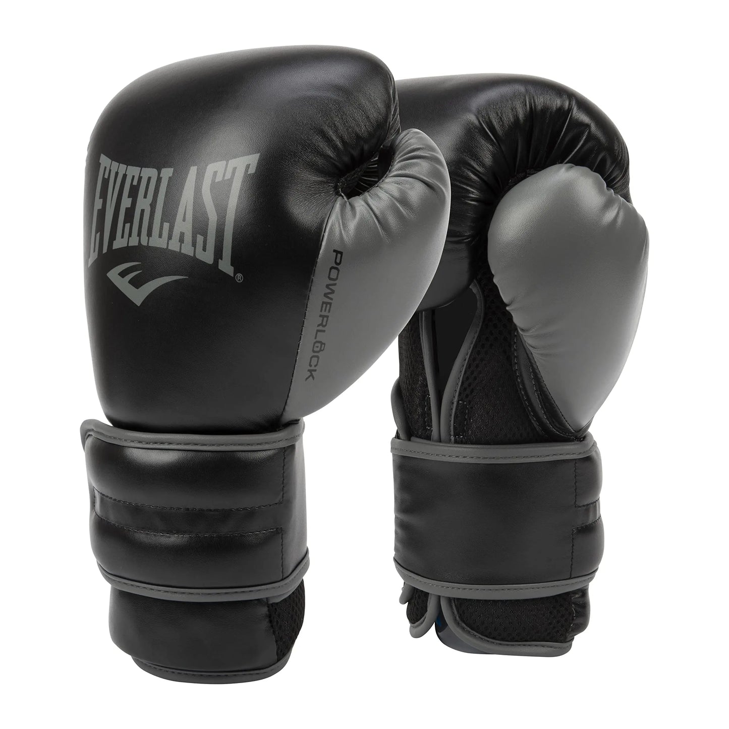 Everlast Powerlock 2R Training Glove The Champ Gear