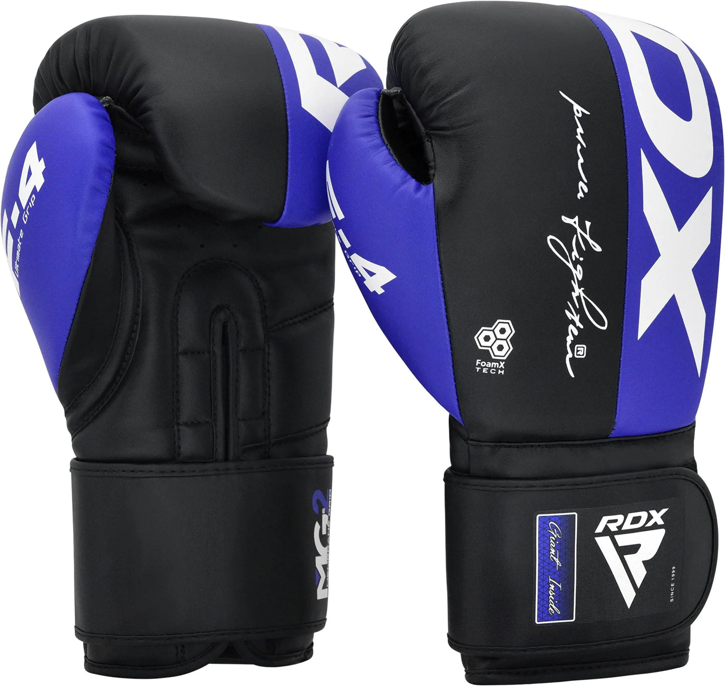 RDX Boxing Gloves The Champ Gear