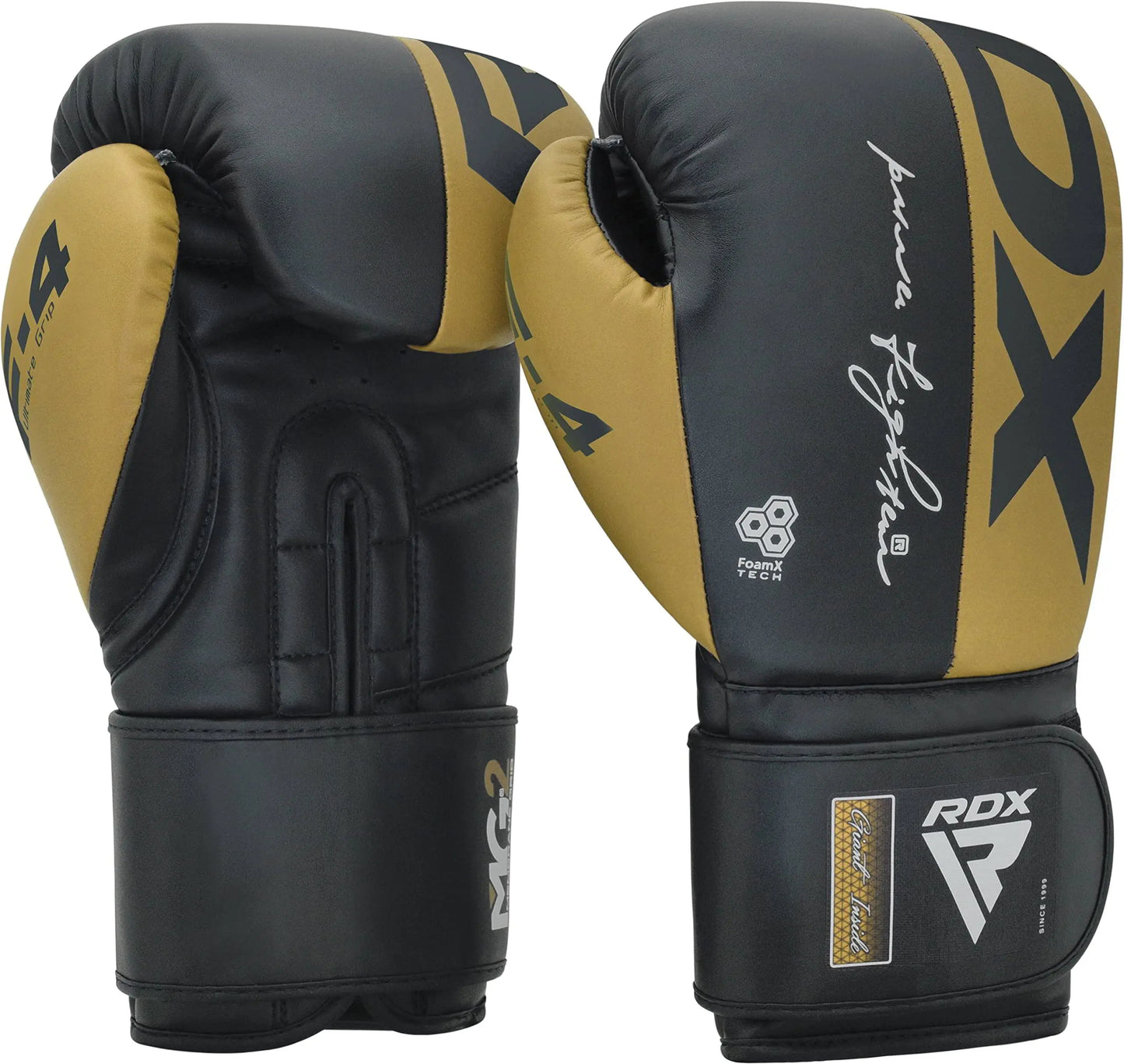 RDX Boxing Gloves The Champ Gear