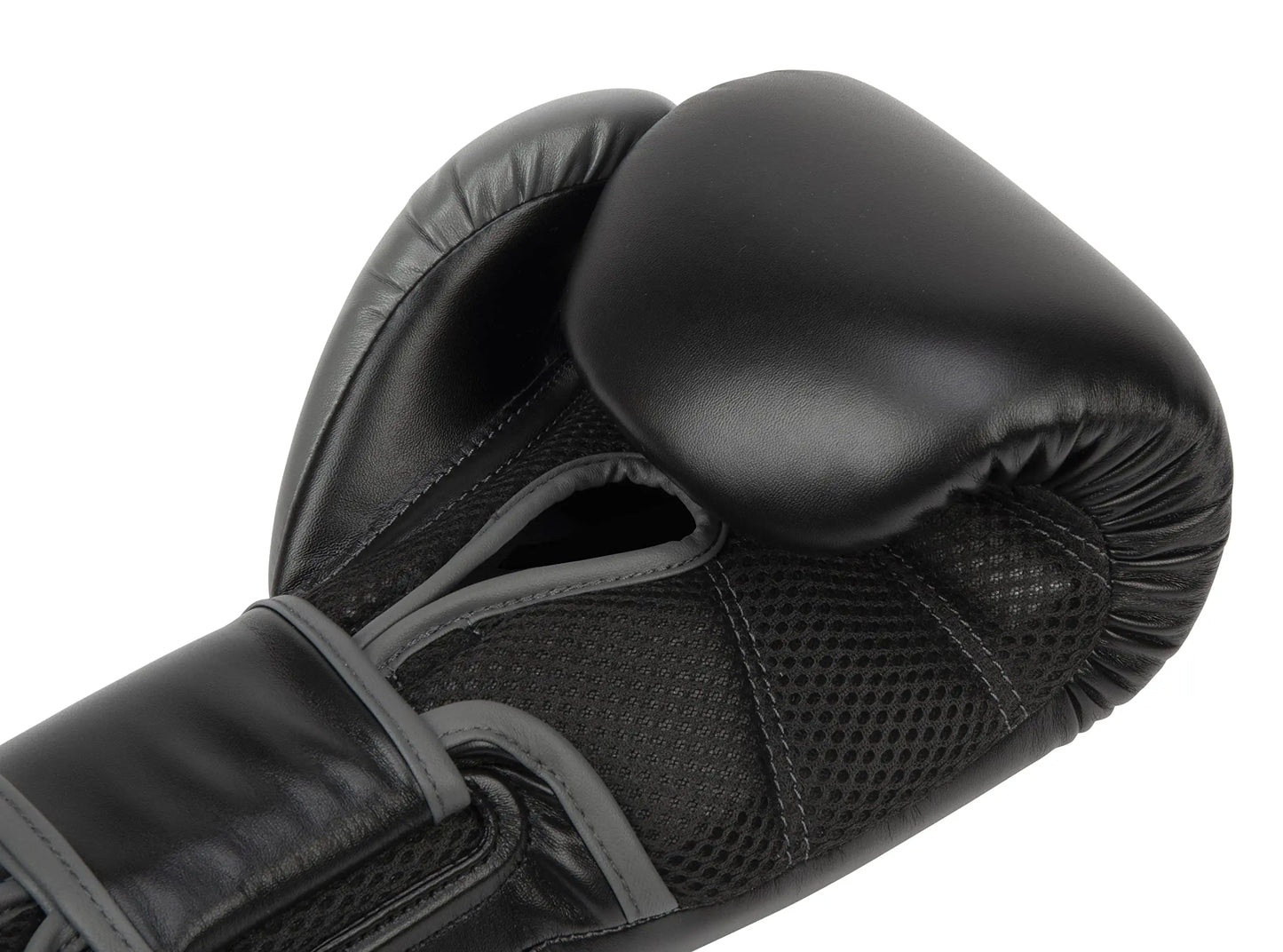 Everlast Powerlock 2R Training Glove The Champ Gear