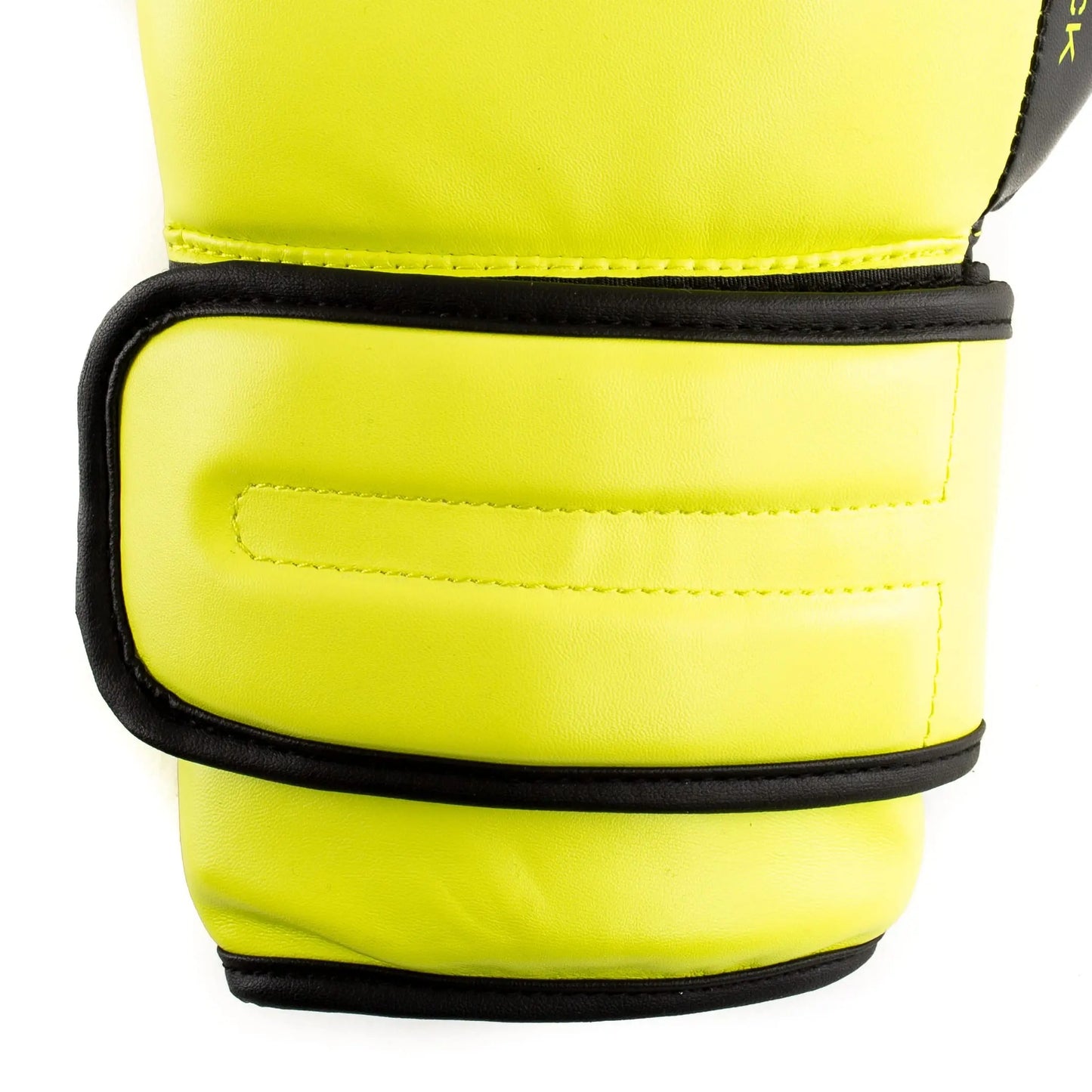 Everlast Powerlock 2R Training Glove The Champ Gear