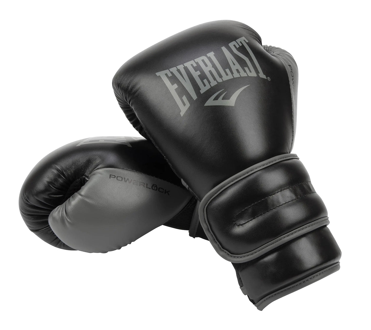 Everlast Powerlock 2R Training Glove The Champ Gear