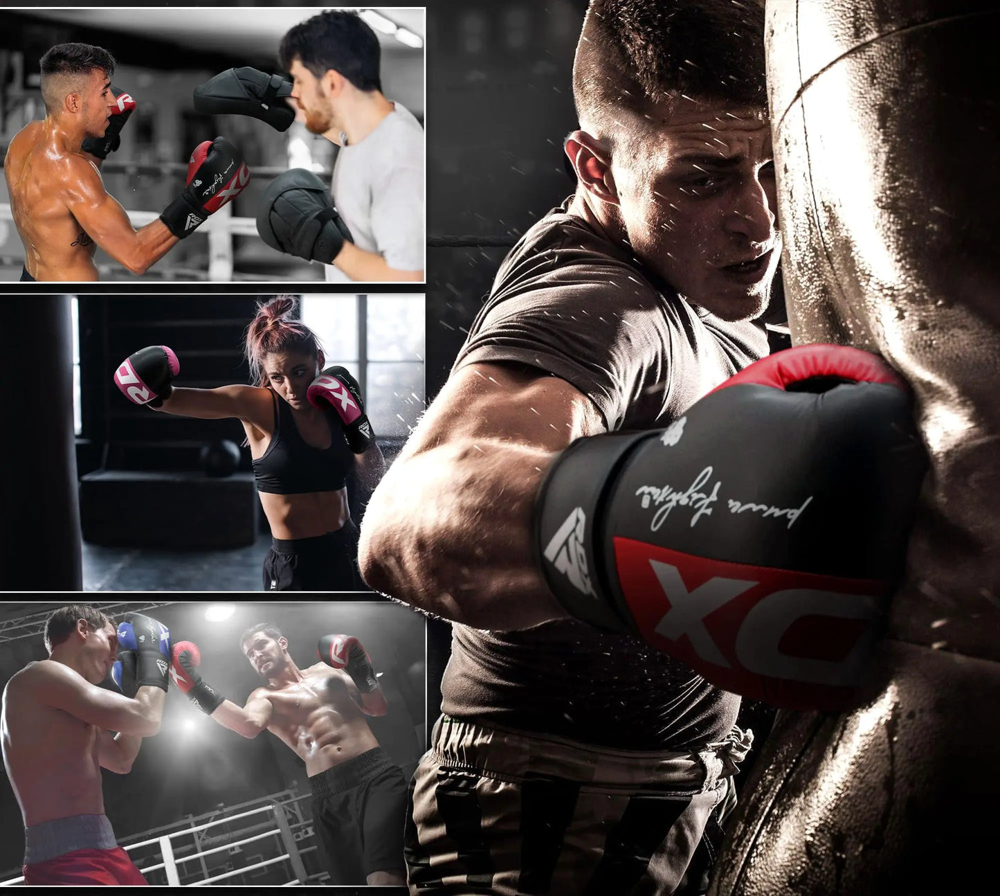 RDX Boxing Gloves The Champ Gear