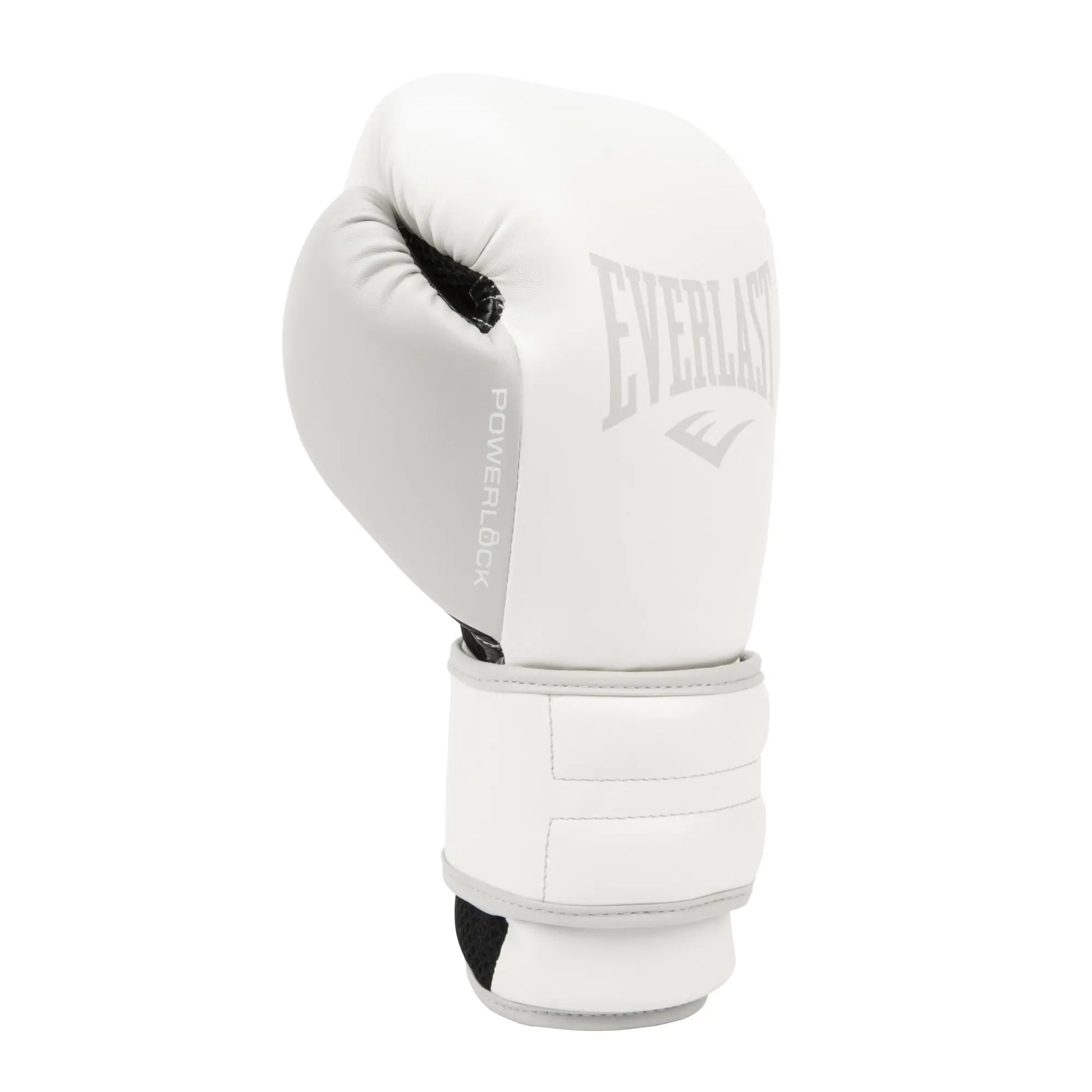 Everlast Powerlock 2R Training Glove The Champ Gear