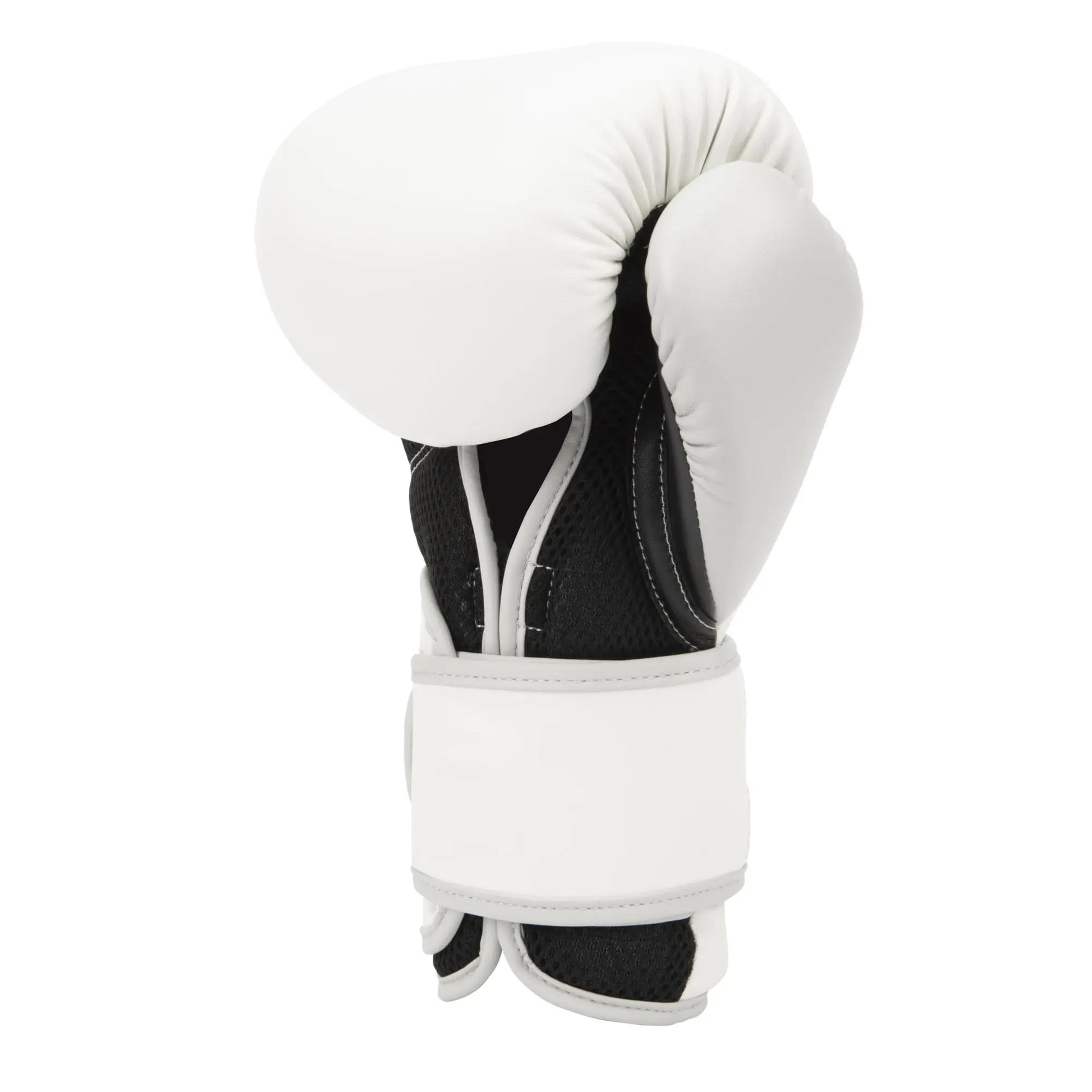 Everlast Powerlock 2R Training Glove The Champ Gear