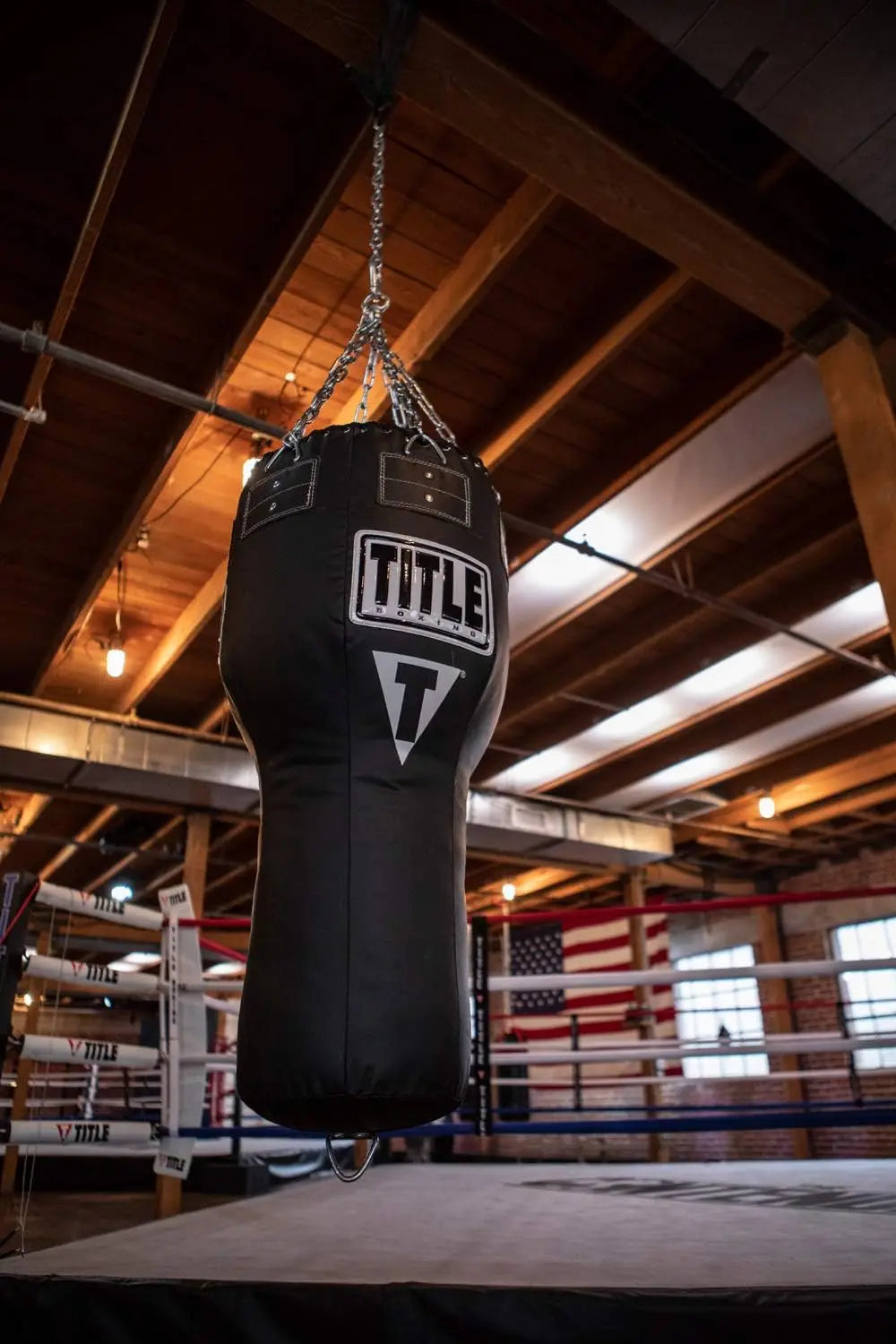TITLE Boxing Big Bang Heavy Bag The Champ Gear