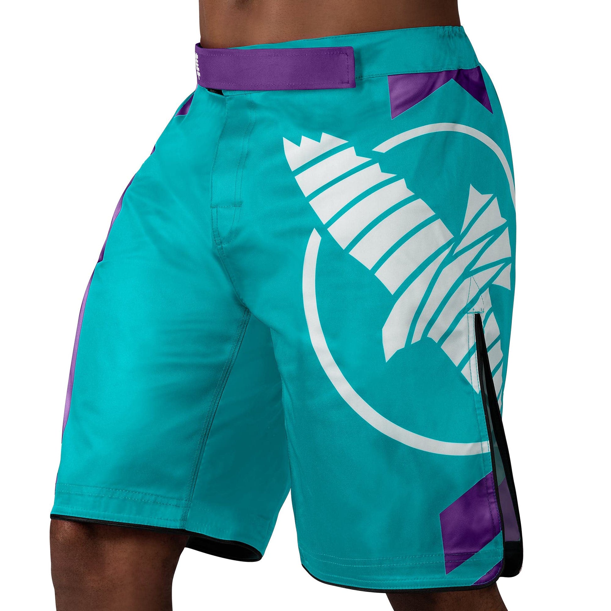 Hayabusa Men's Icon Fight Shorts The Champ Gear