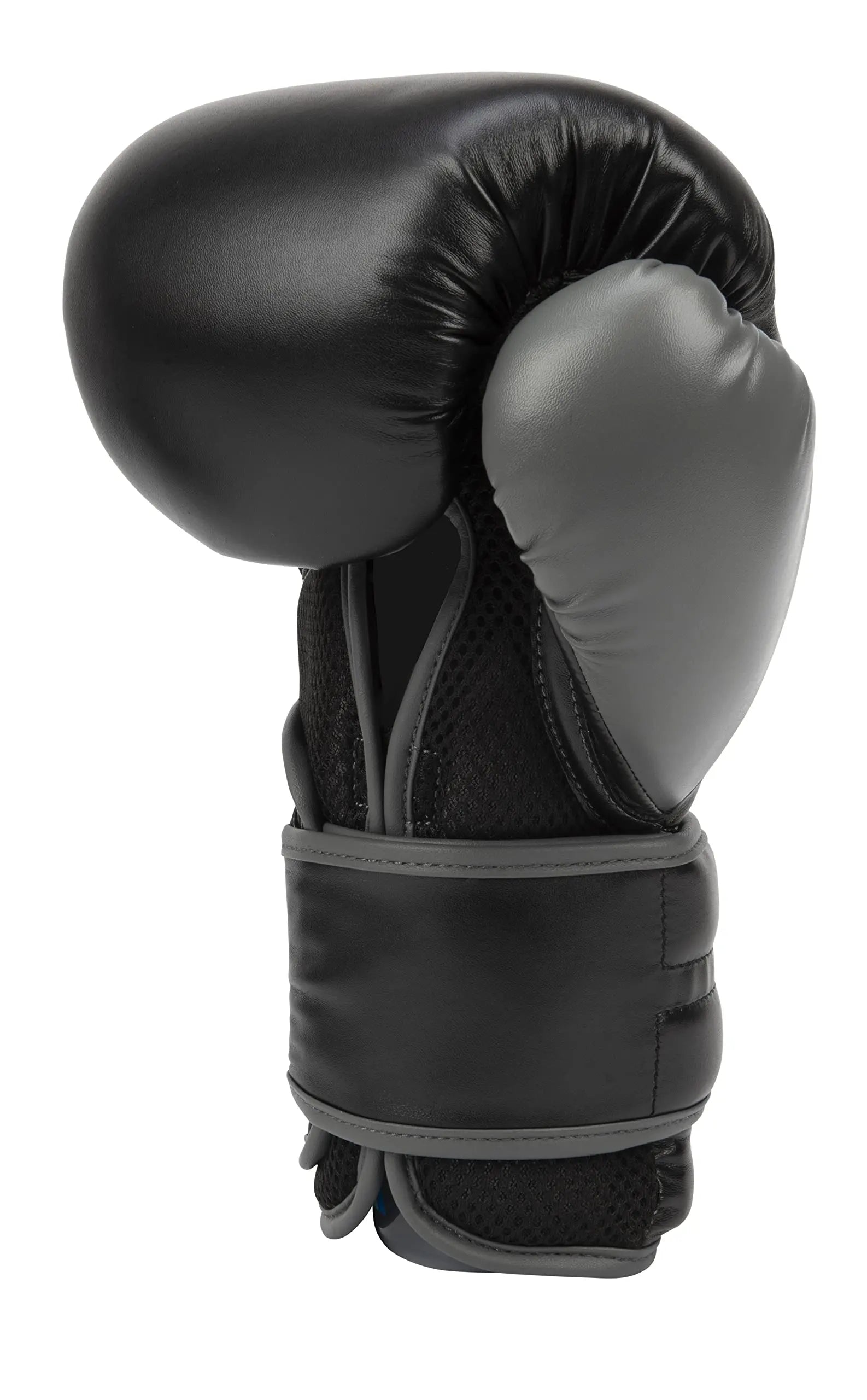 Everlast Powerlock 2R Training Glove The Champ Gear