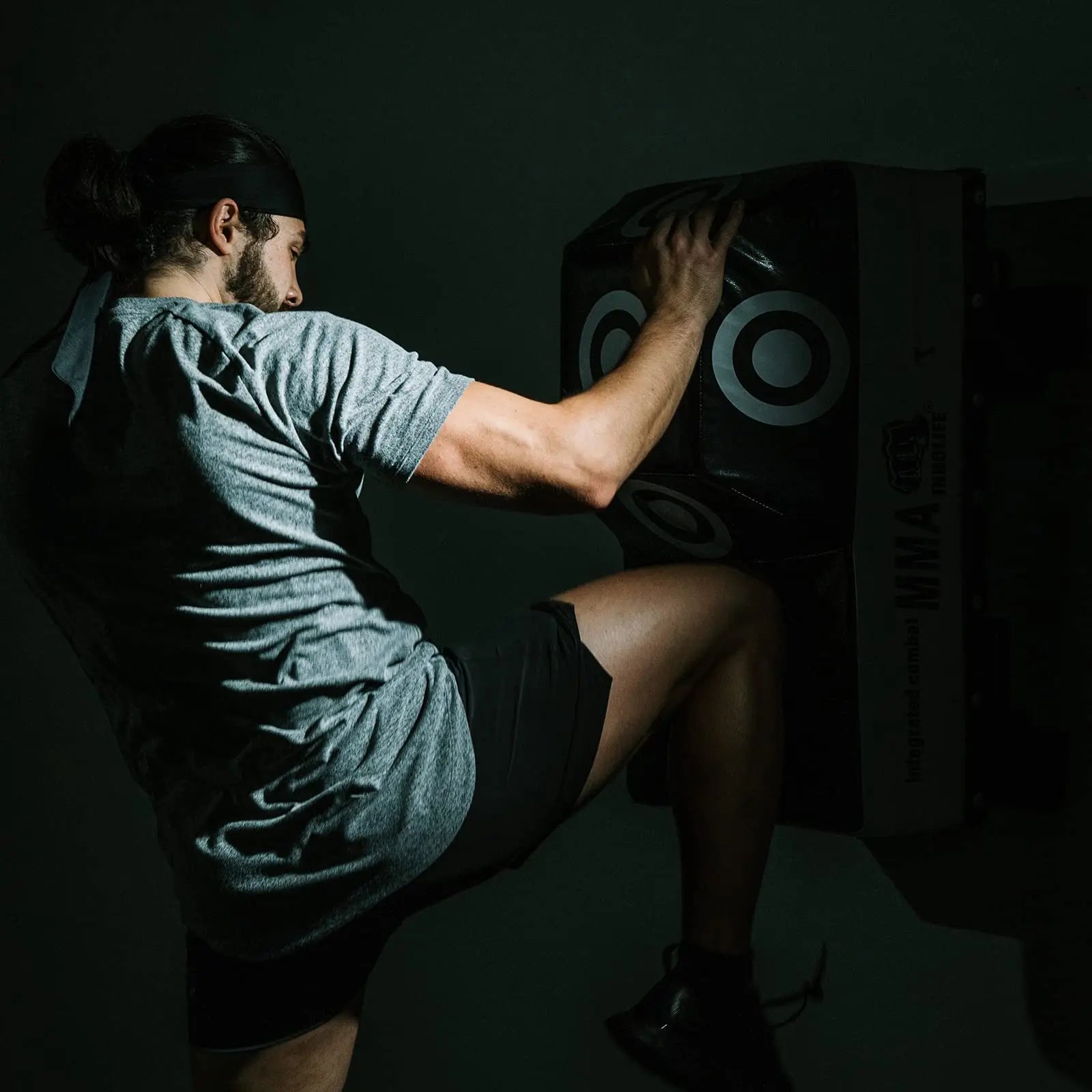 INNOLIFE Wall Mount Uppercut Boxing MMA Training Punching Target Size: S/L The Champ Gear