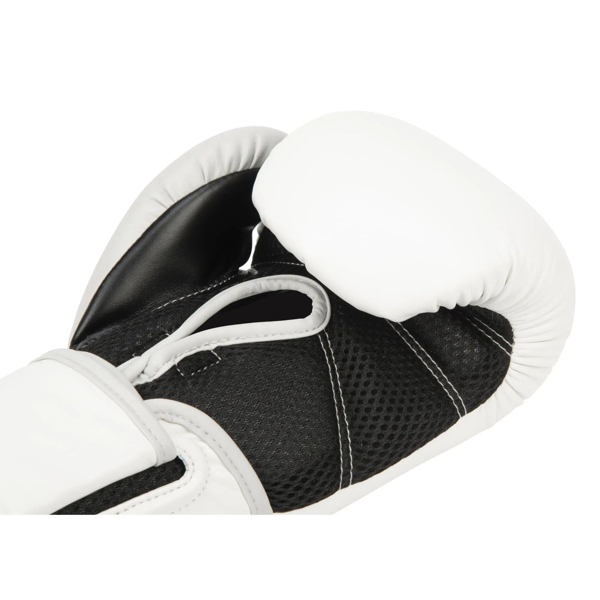 Everlast Powerlock 2R Training Glove The Champ Gear
