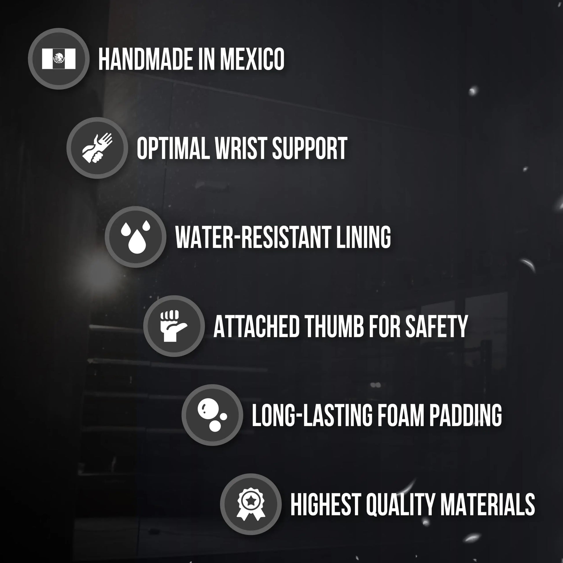 Cleto Reyes Hook and Loop Training Gloves, RETG1 The Champ Gear