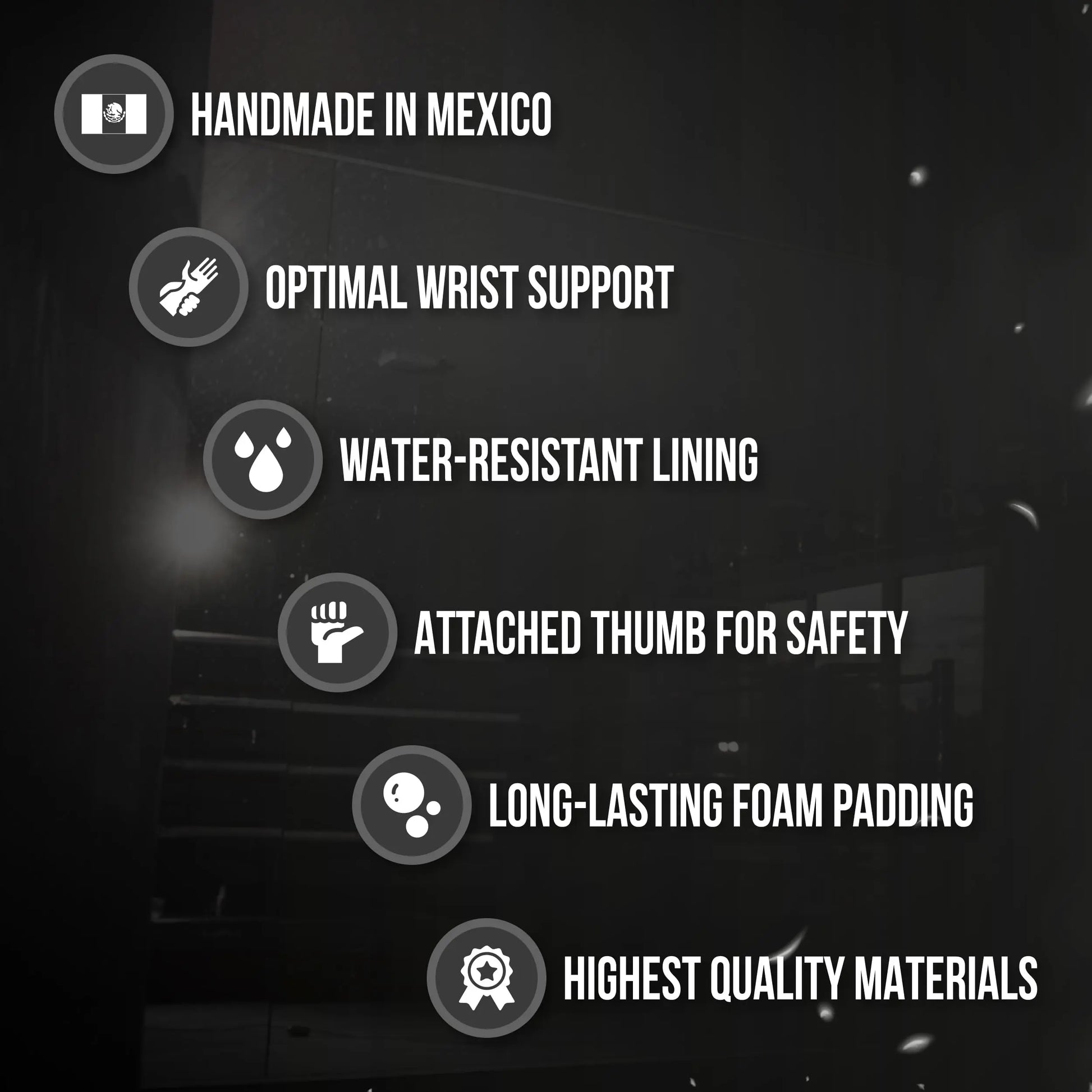 Cleto Reyes Hook and Loop Training Gloves, RETG1 The Champ Gear