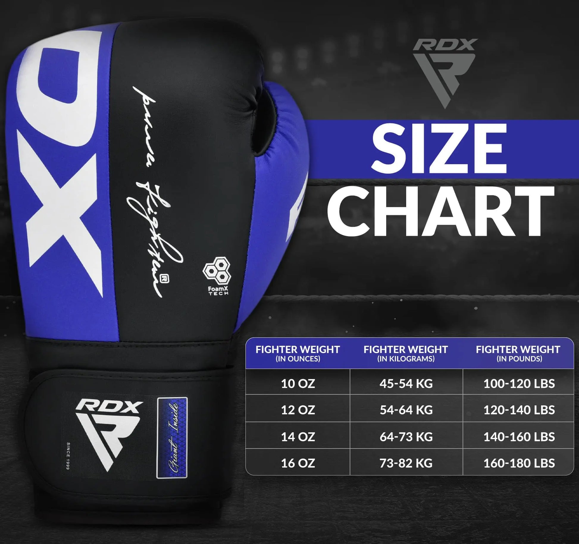 RDX Boxing Gloves The Champ Gear