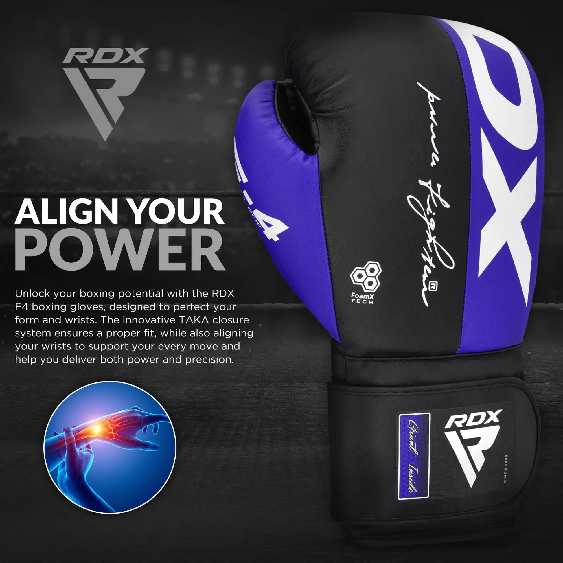 RDX Boxing Gloves The Champ Gear