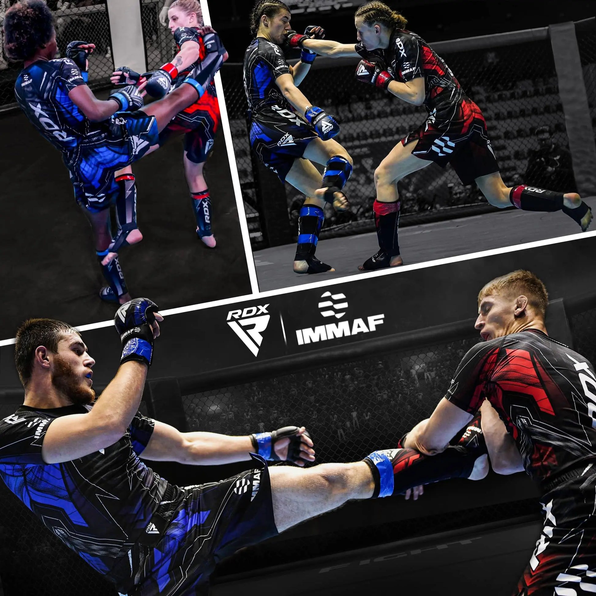 RDX IMMAF Approved Shin Guards, Competition Level Neoprene Shin Pads for Sparring and Grappling, MMA Muay Thai Kickboxing Training, Professional Shin Insteps Protection, Men Women The Champ Gear