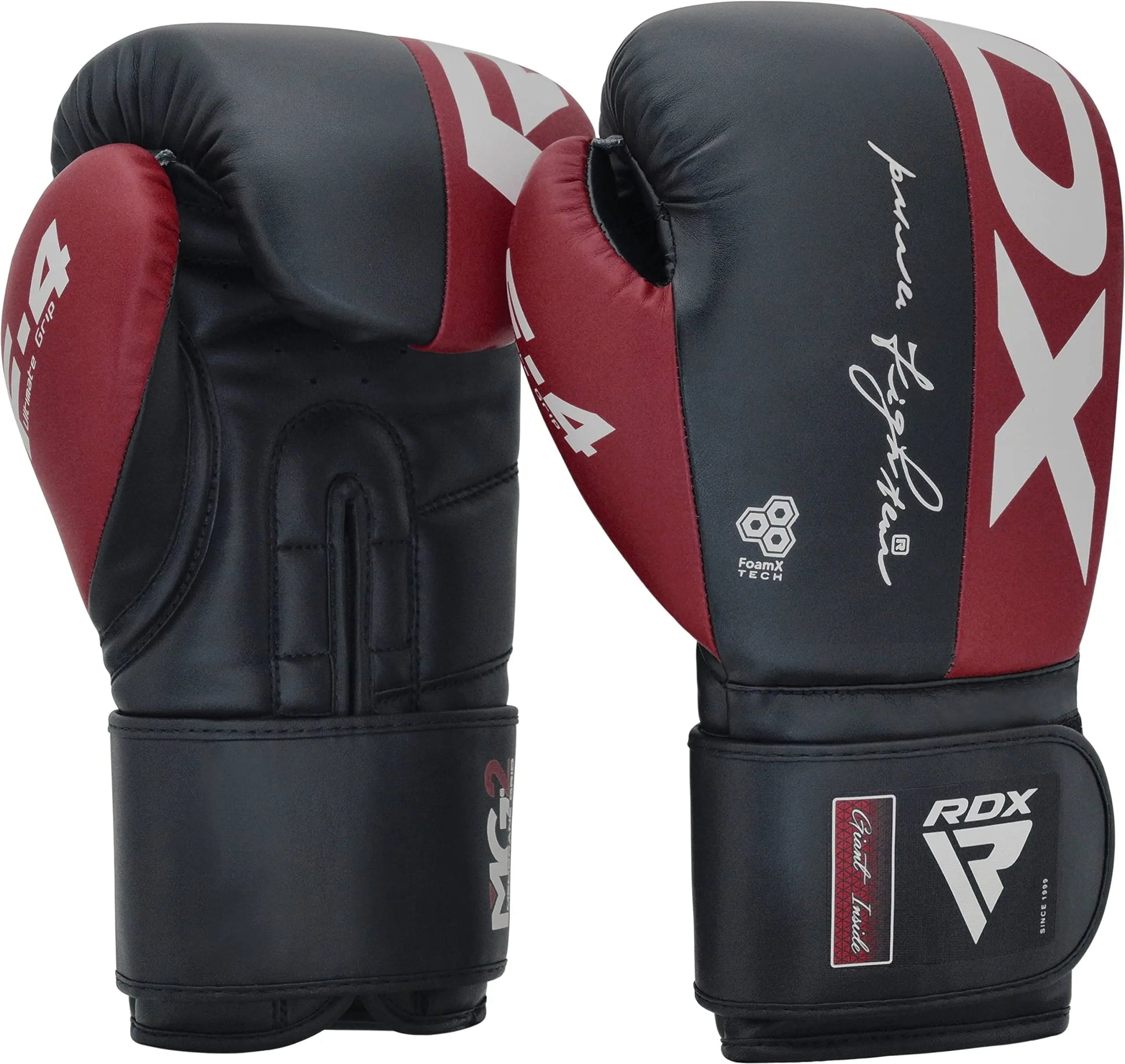 RDX Boxing Gloves The Champ Gear