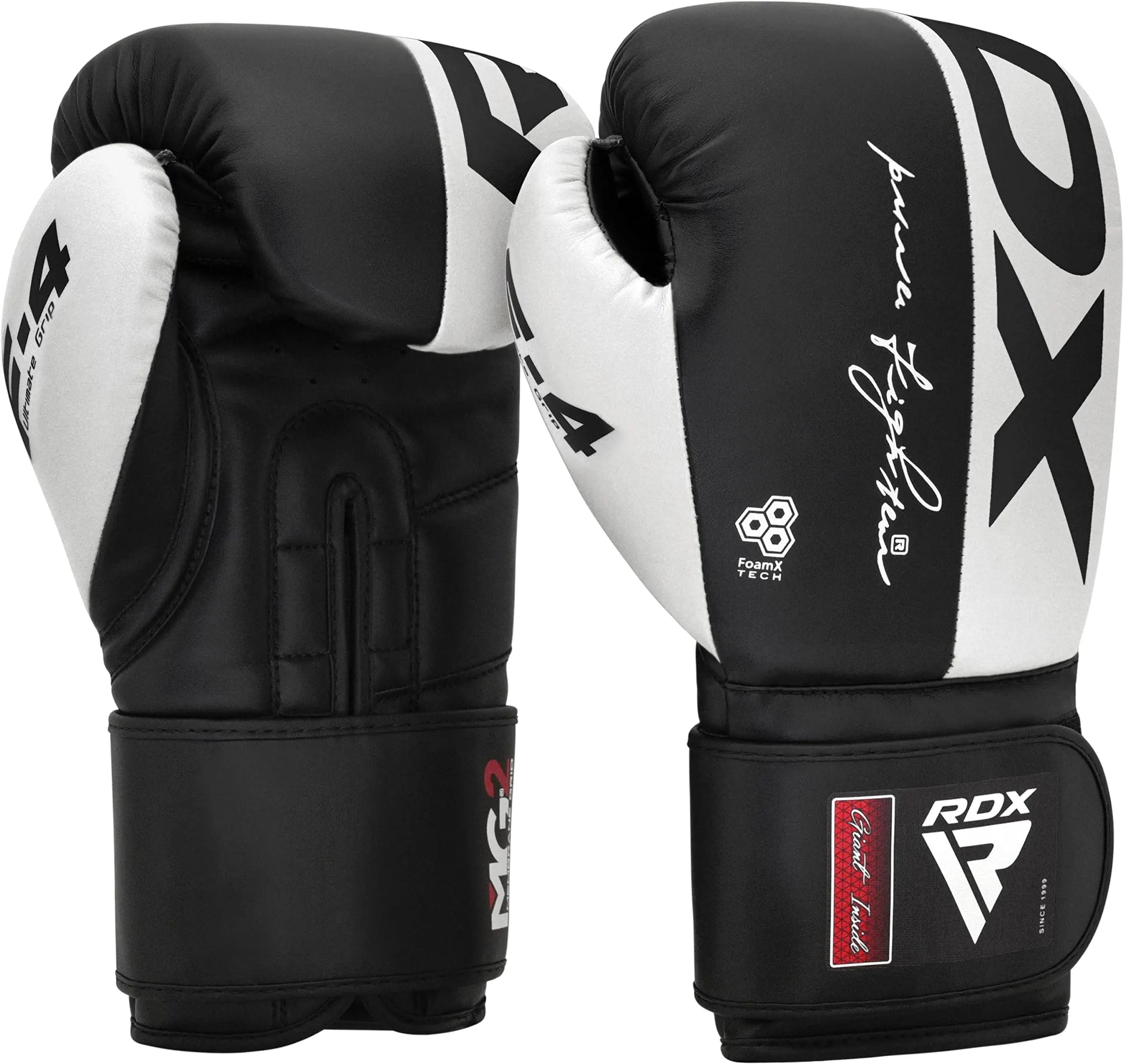 RDX Boxing Gloves The Champ Gear