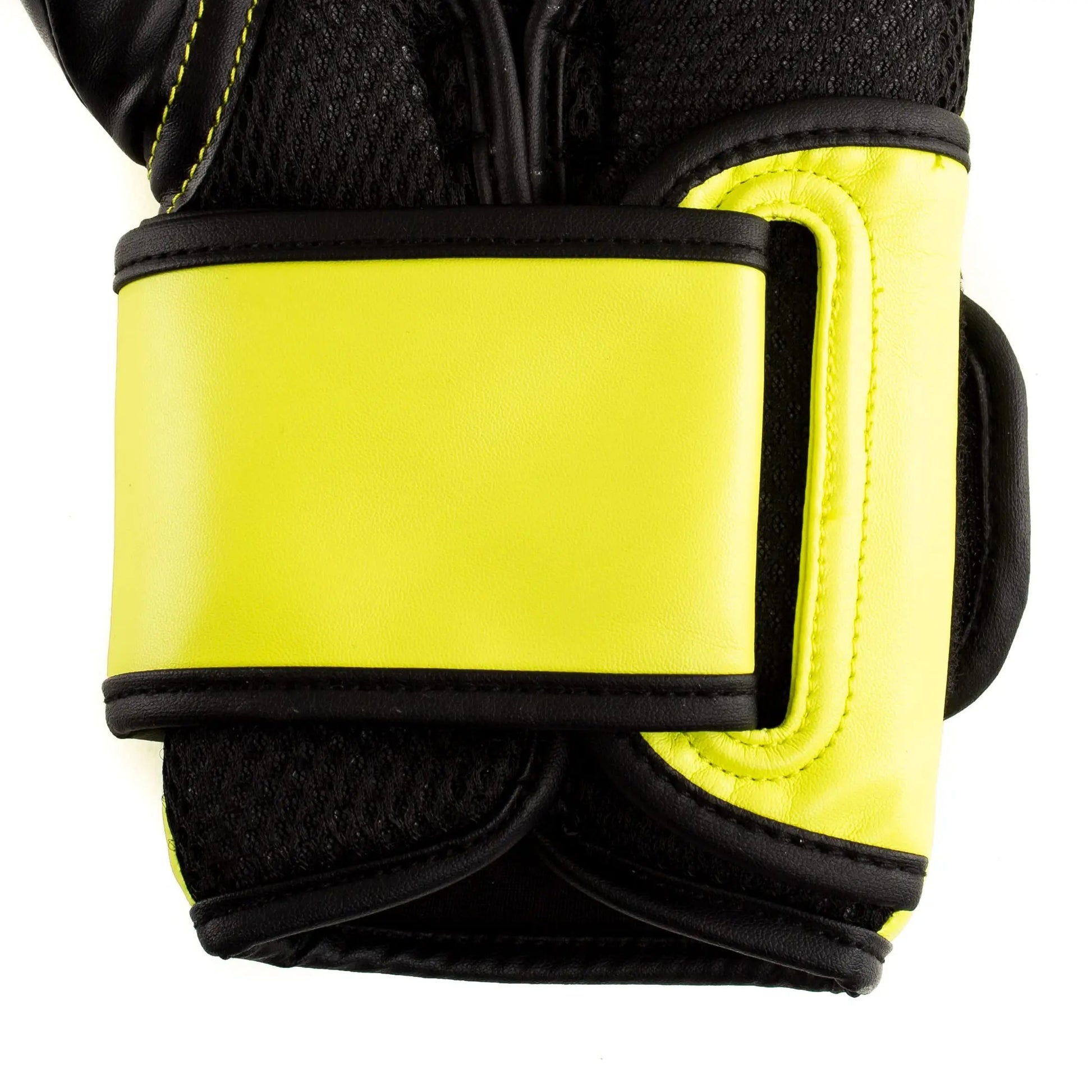Everlast Powerlock 2R Training Glove The Champ Gear
