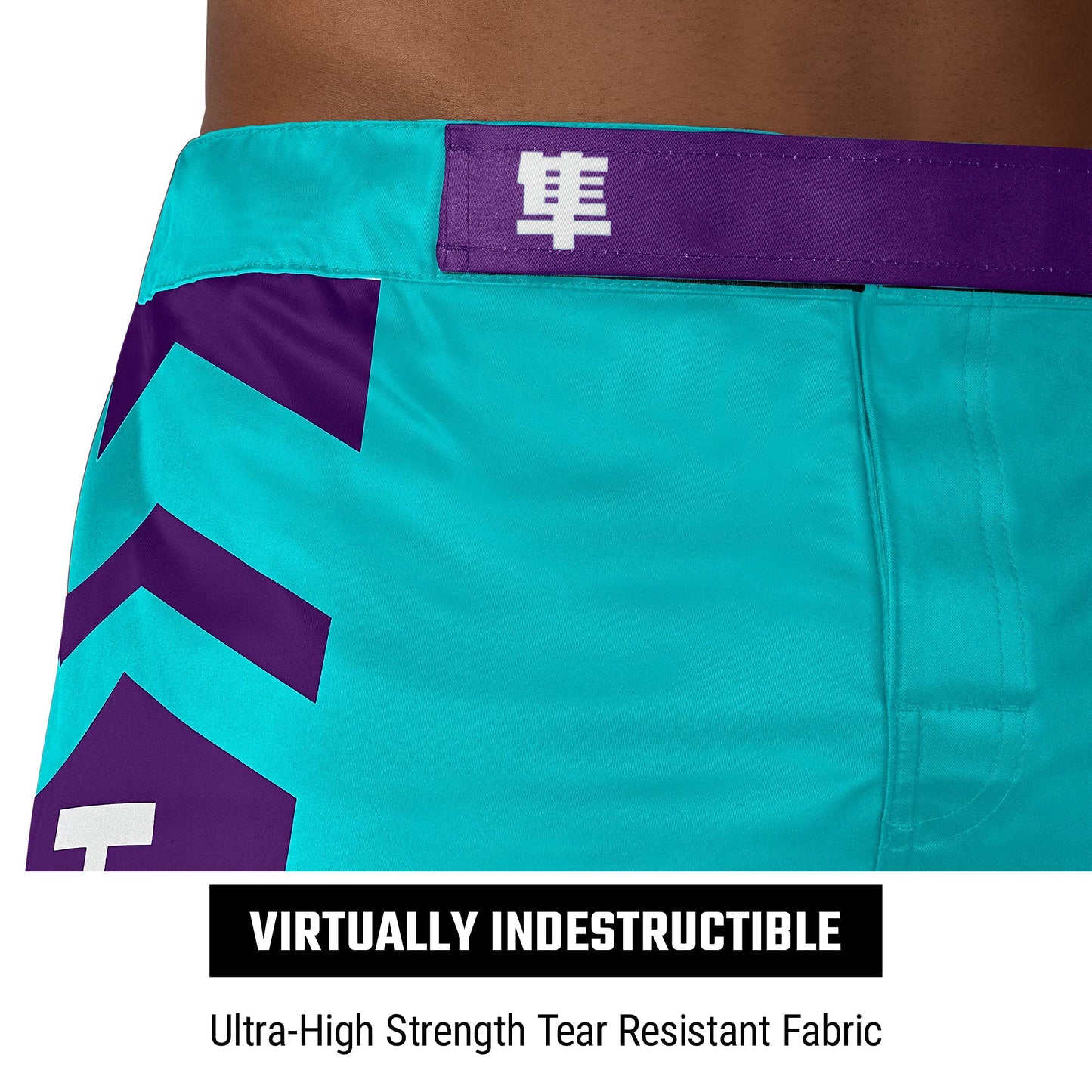 Hayabusa Men's Icon Fight Shorts The Champ Gear