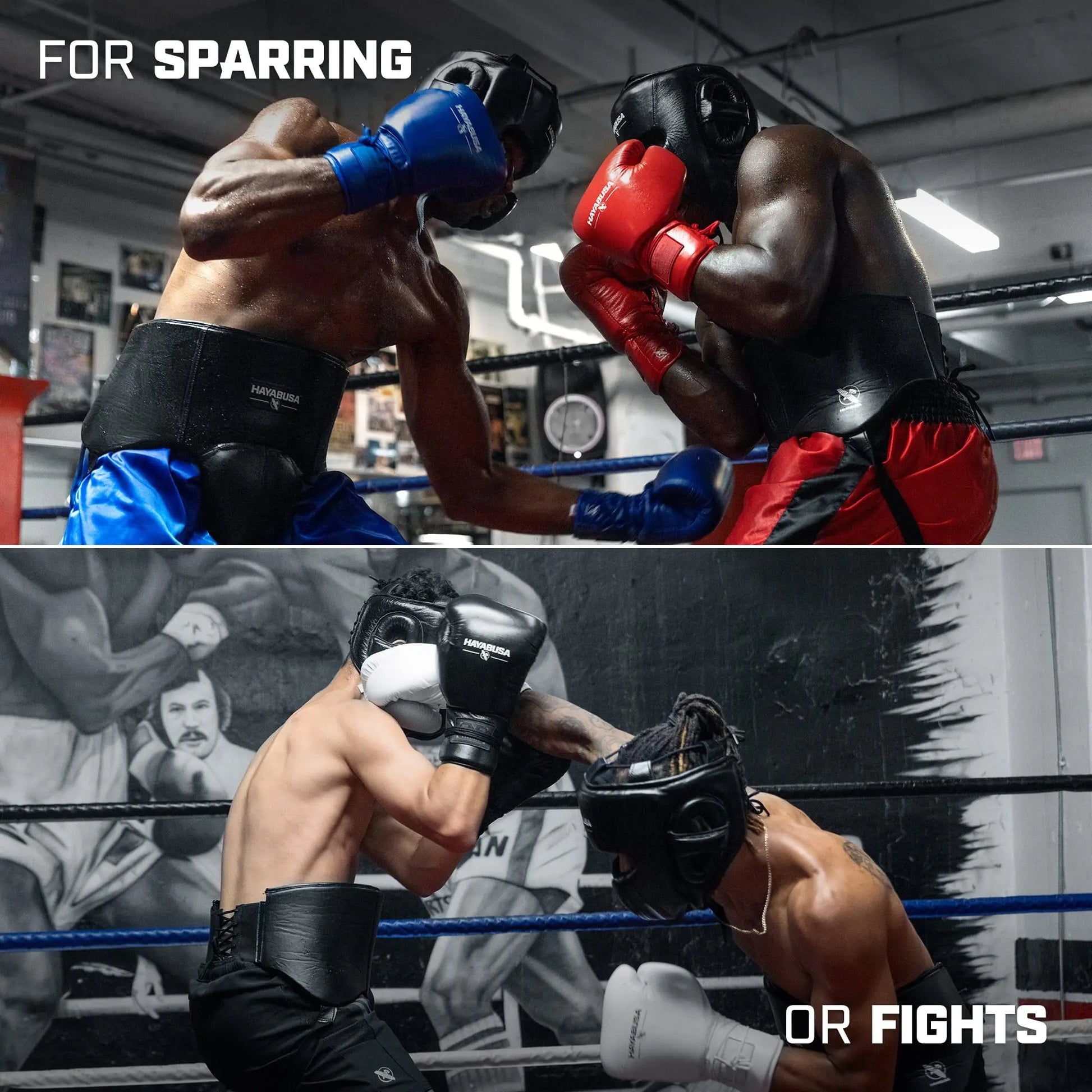 Hayabusa Pro Boxing Groin Protector for Men The Champ Gear