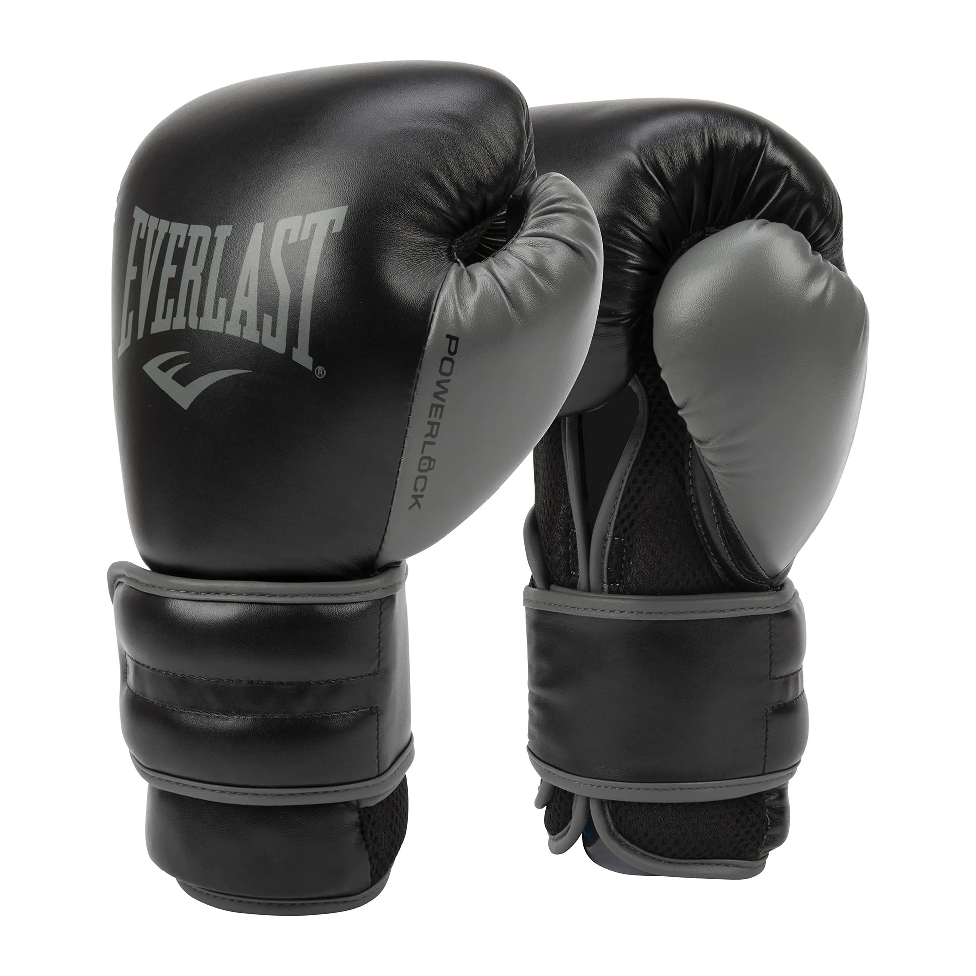 Everlast Powerlock 2R Training Glove The Champ Gear