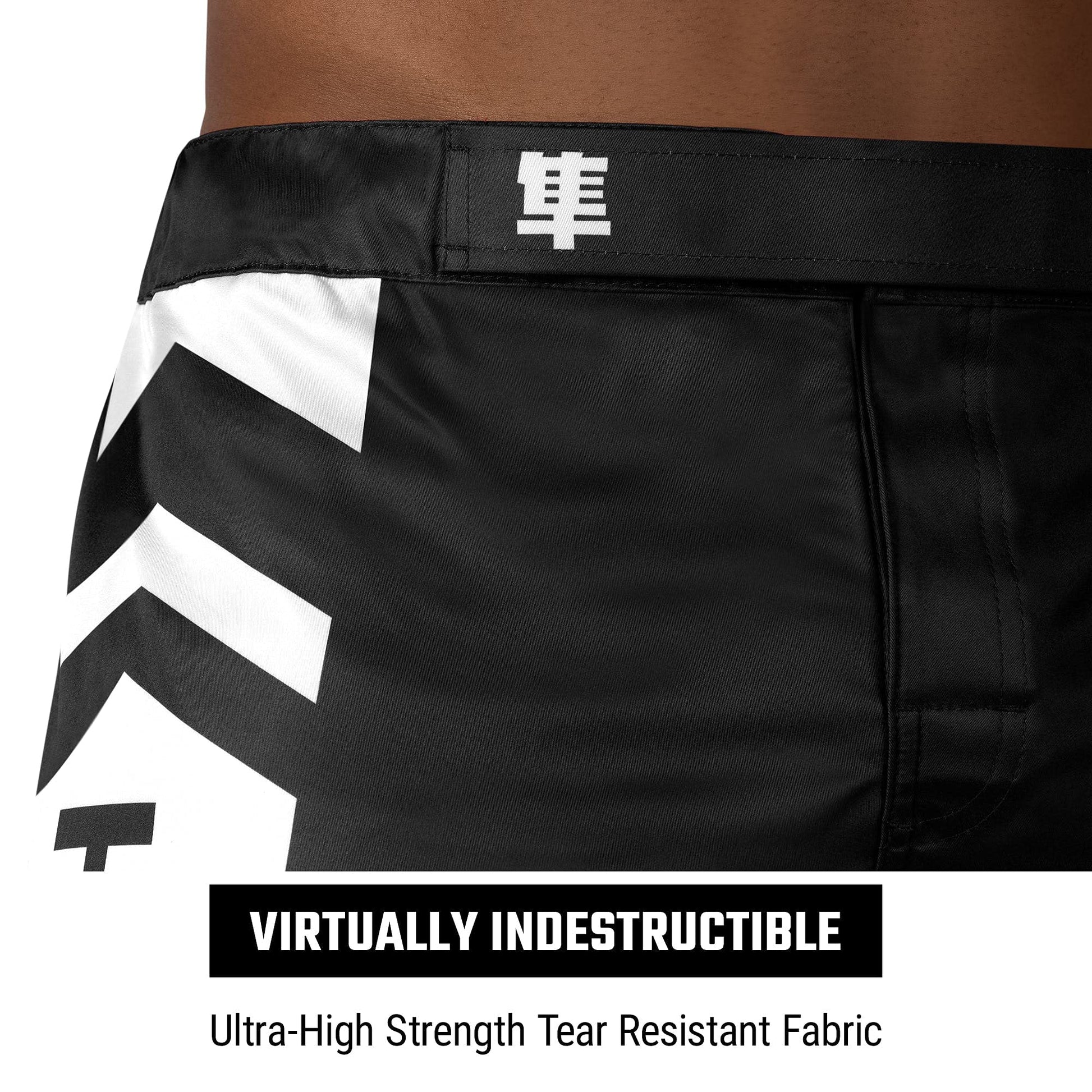 Hayabusa Men's Icon Fight Shorts The Champ Gear