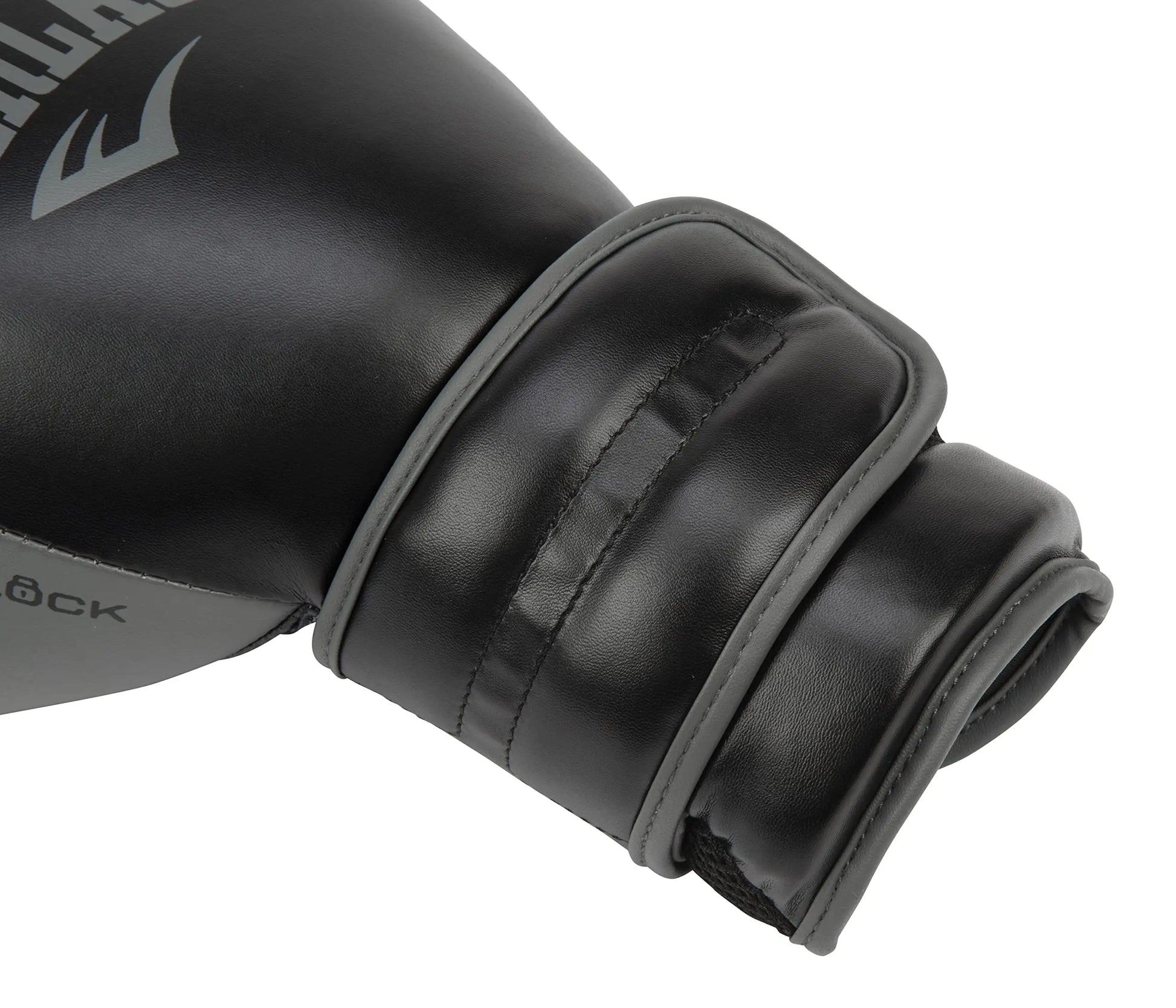 Everlast Powerlock 2R Training Glove The Champ Gear